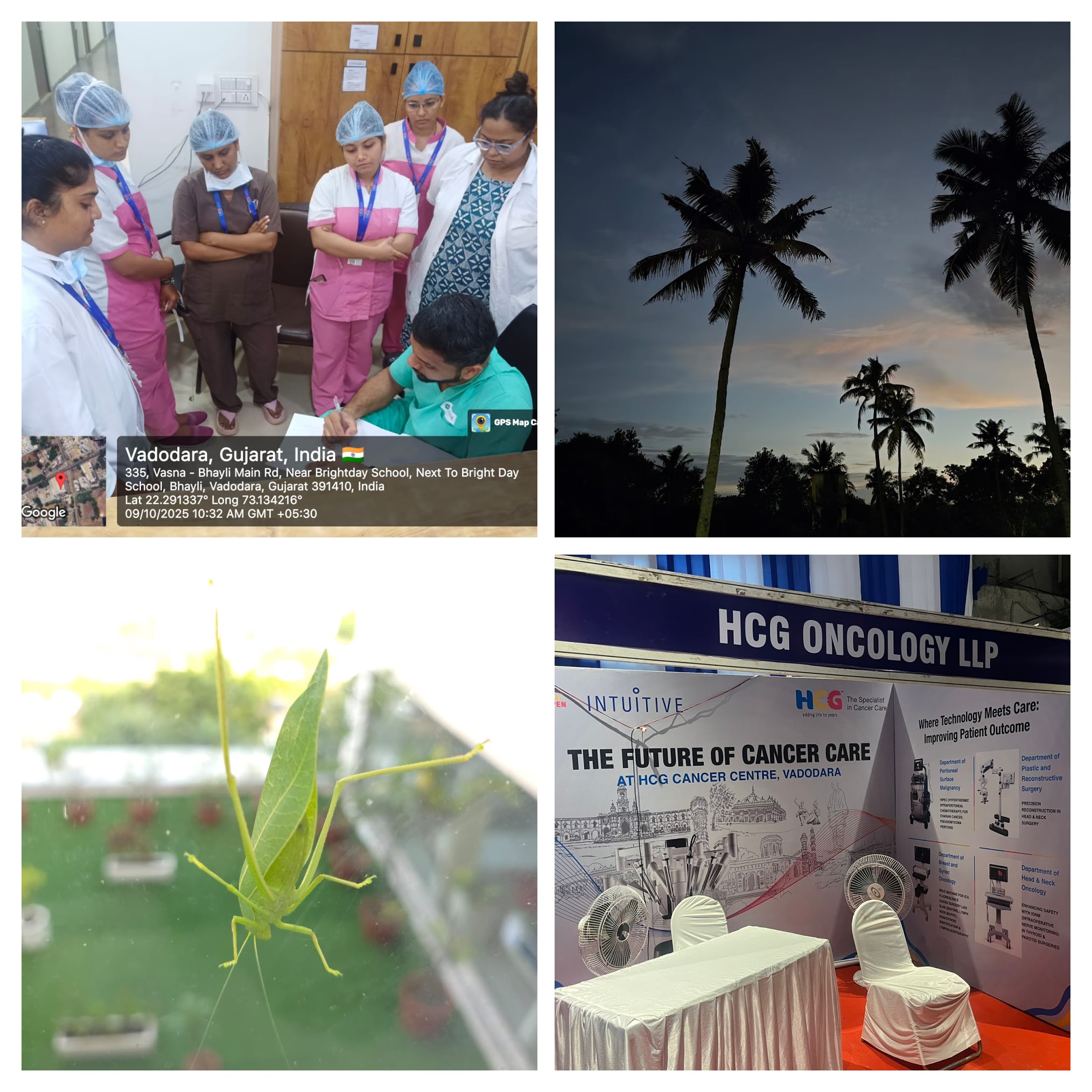 1760030177777-COLLAGE.jpg