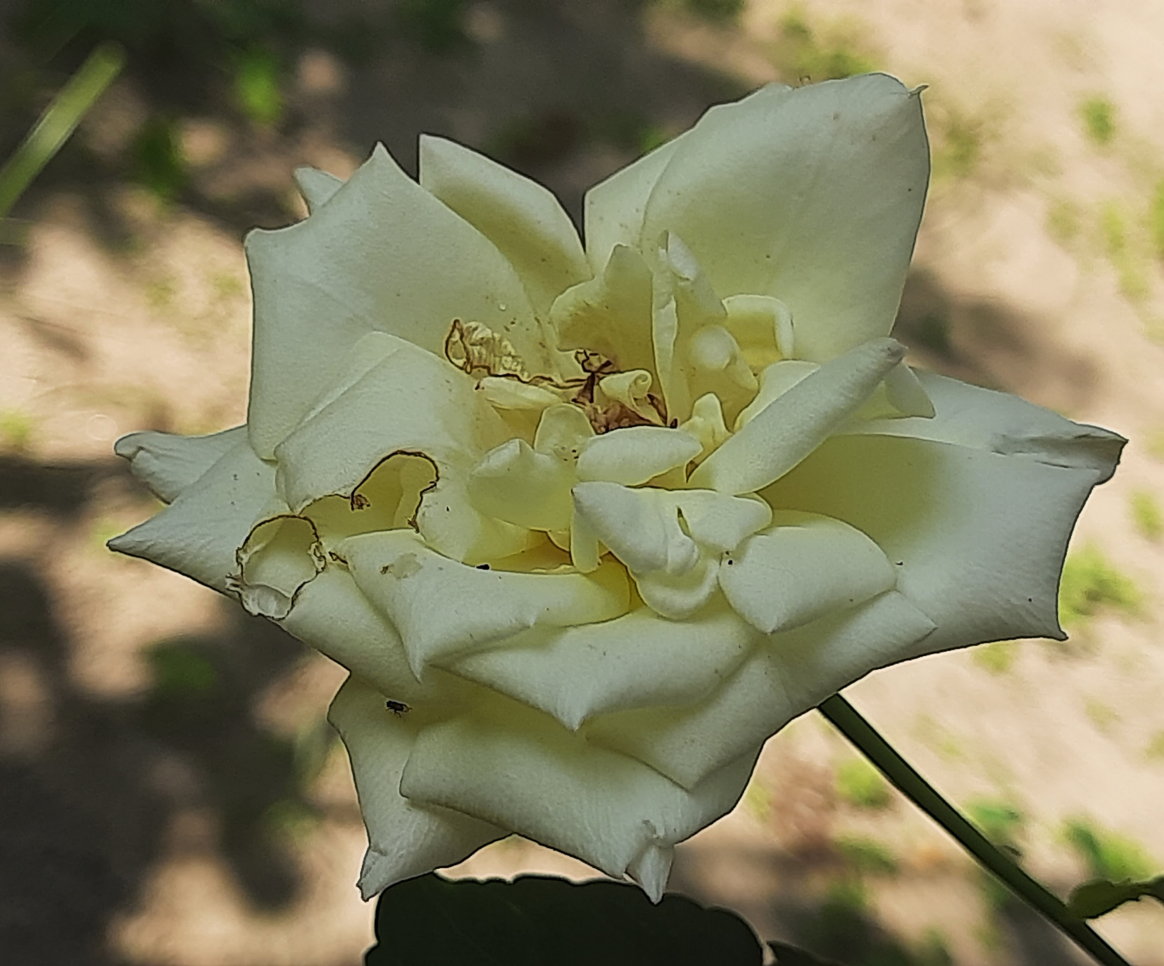 20251028_134336.jpg