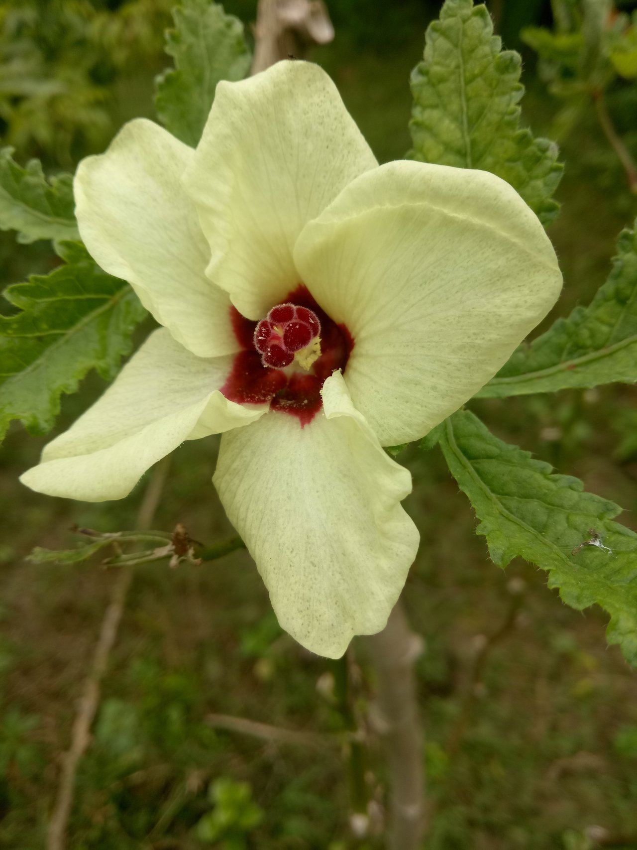 99pyU5Ga1kws91ecJjkANAzfstp5ietJ4ACvk9NVNGvqjzTntM2Aw7XhTRCgniHSQiN5RNTMcBR8WDNVcqFVDLVNzb5hqMcC4Aqkq8nRBgmmYsmTz2o86wU85DXuAxGBtA (1).jpeg