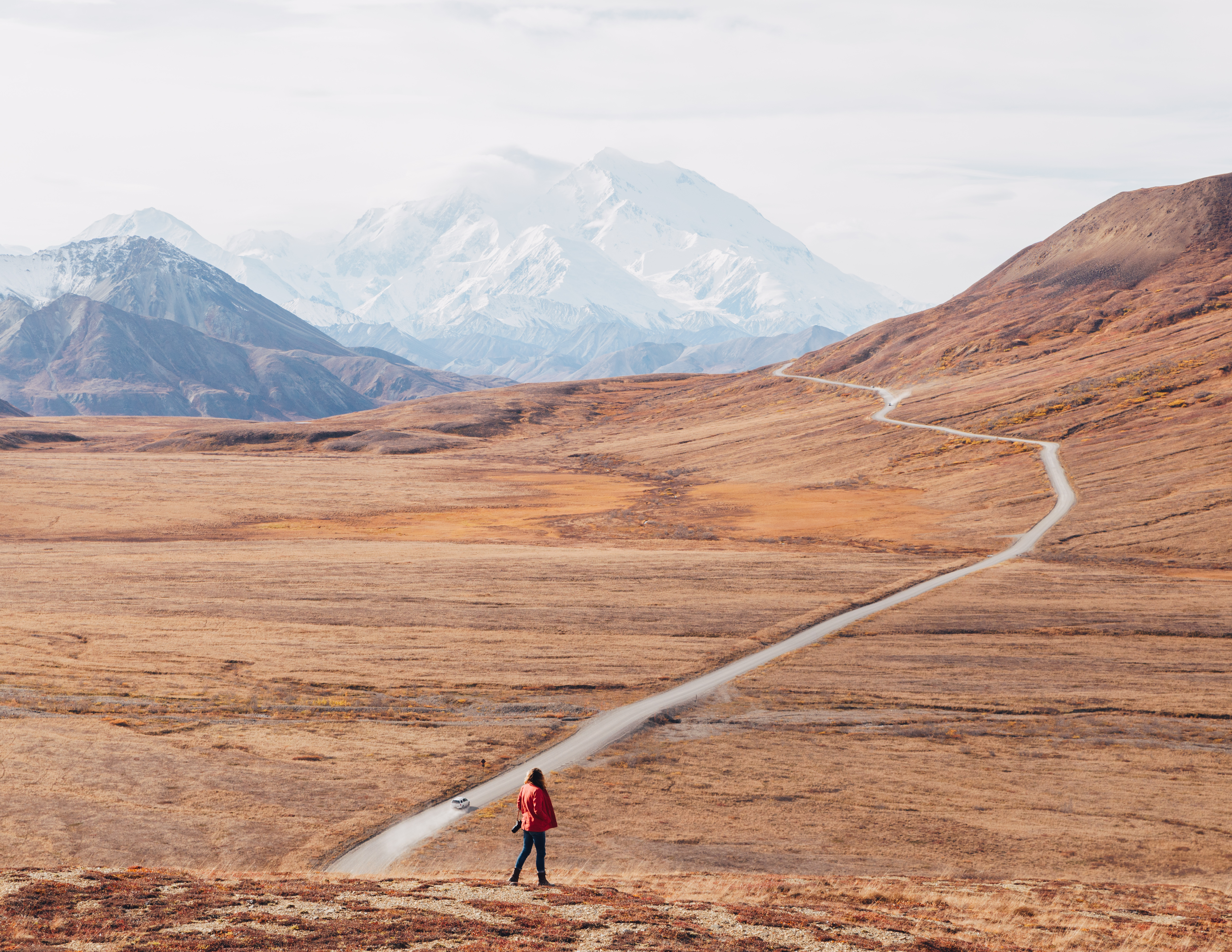 Denali 3.jpg