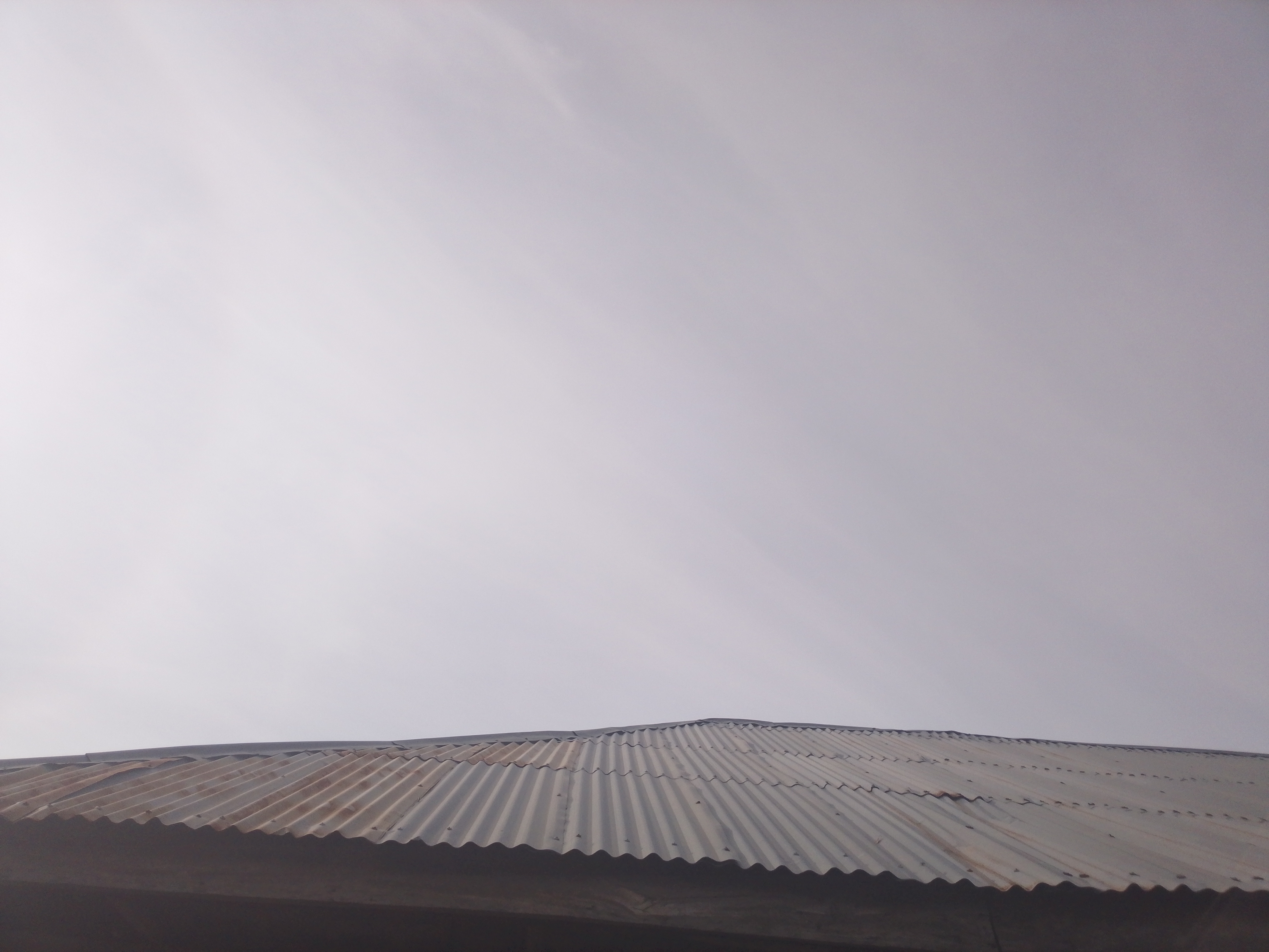1000067279.jpg