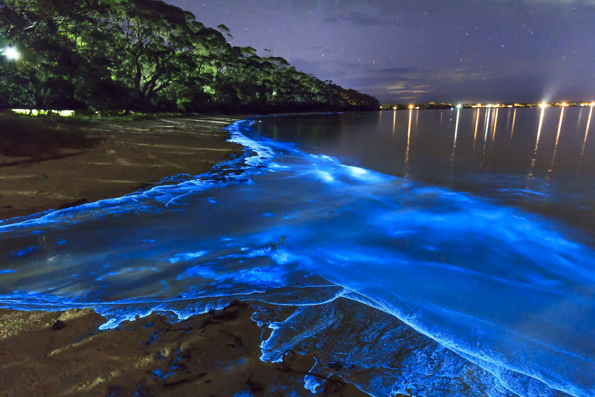 Vaadhoo-Maldives.jpg