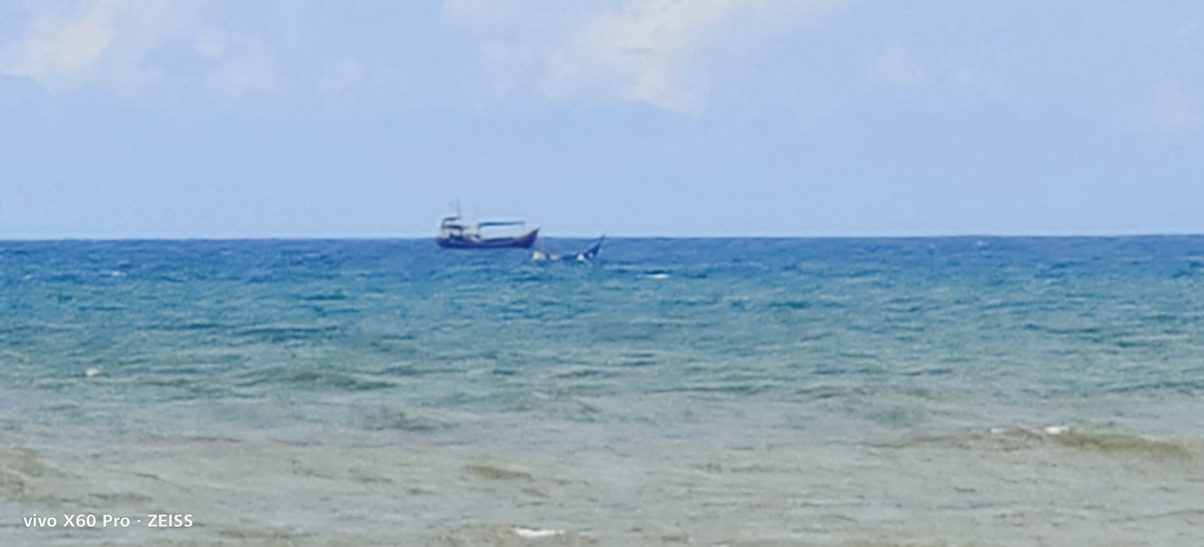 IMG_20221004_125717.jpg