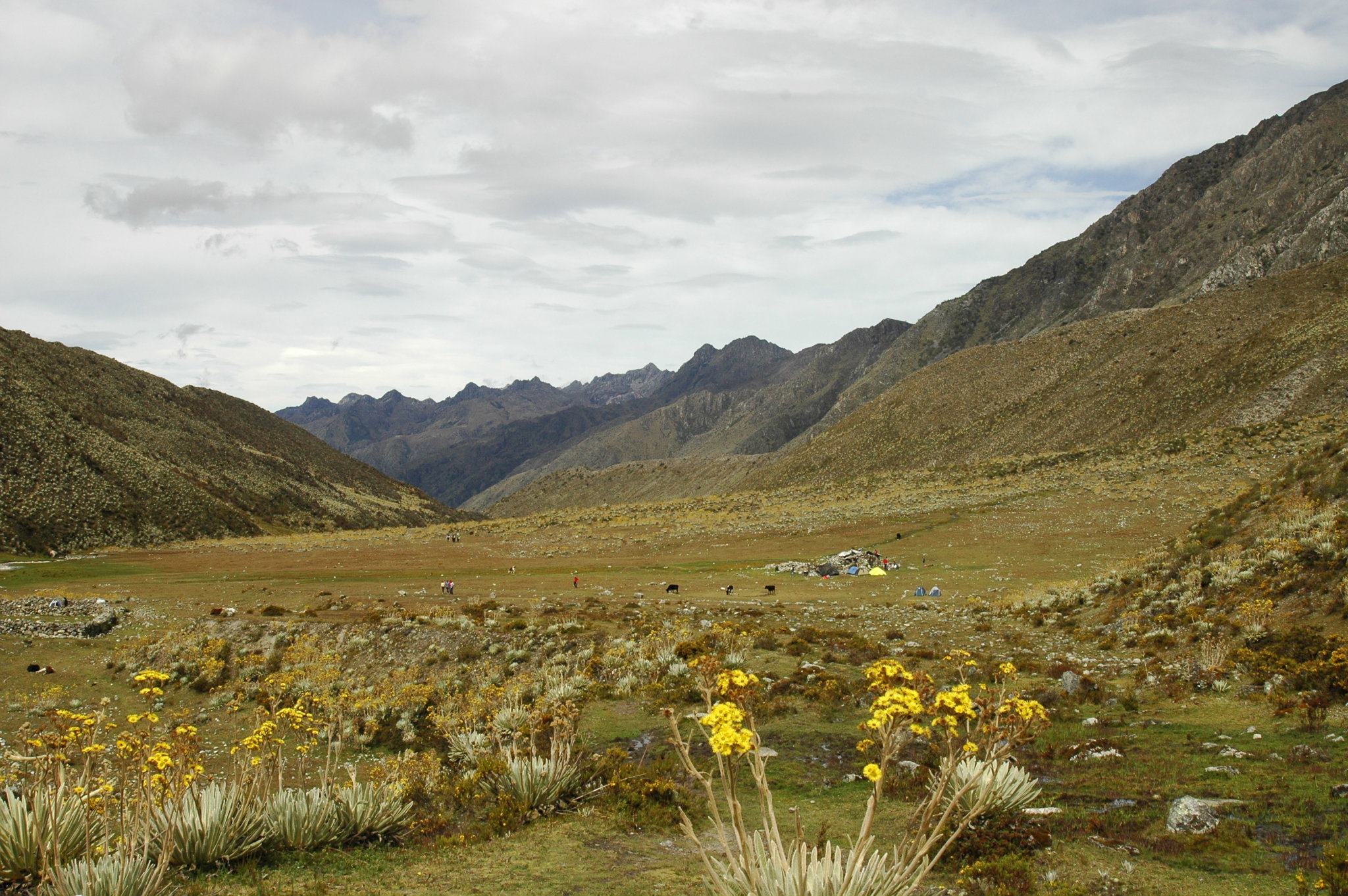 Treking9.jpg