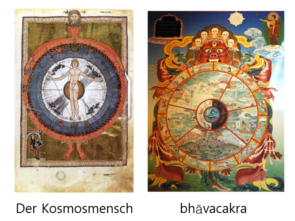 something in common but different.png