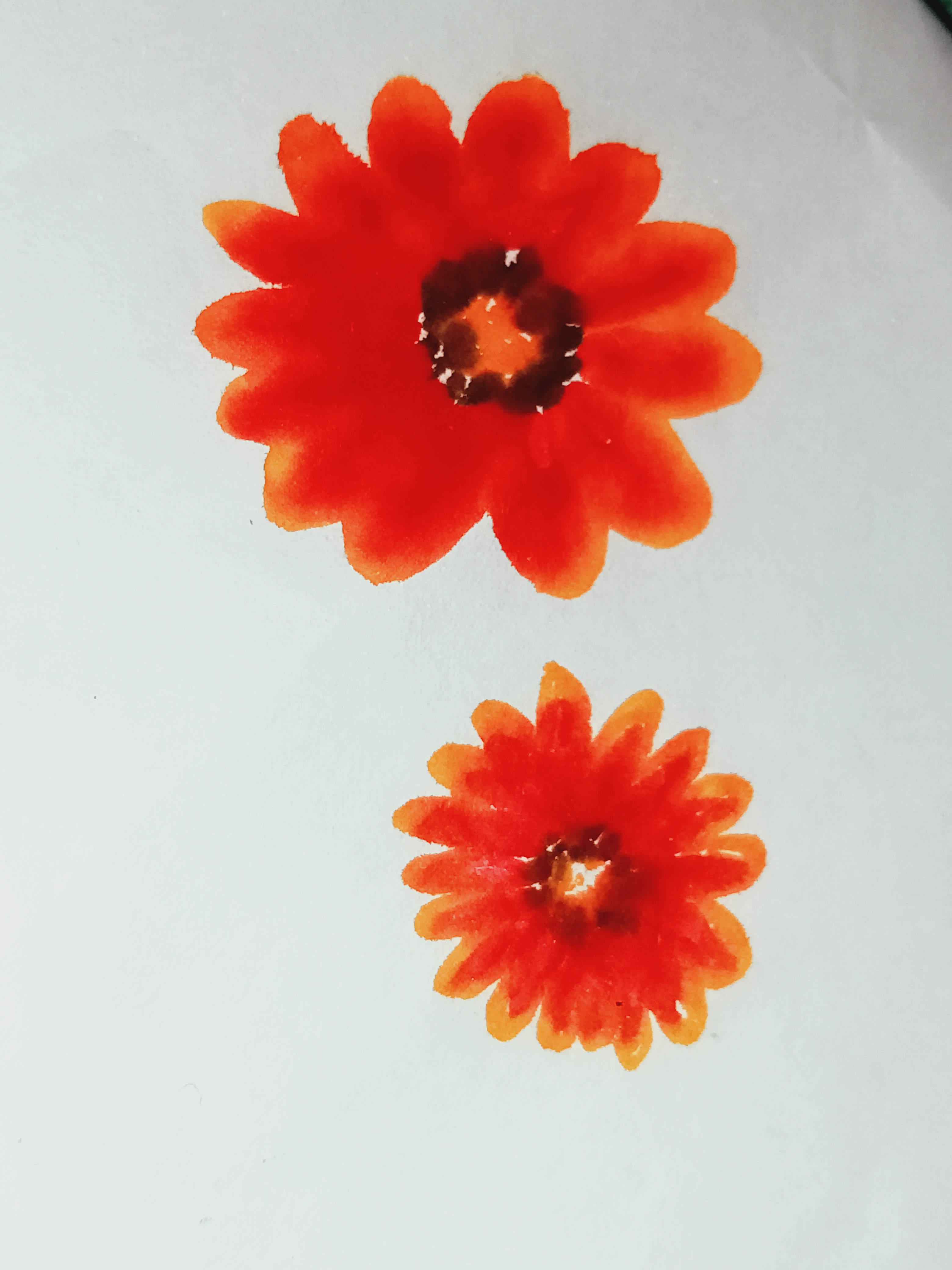IMG20241103195914.jpg