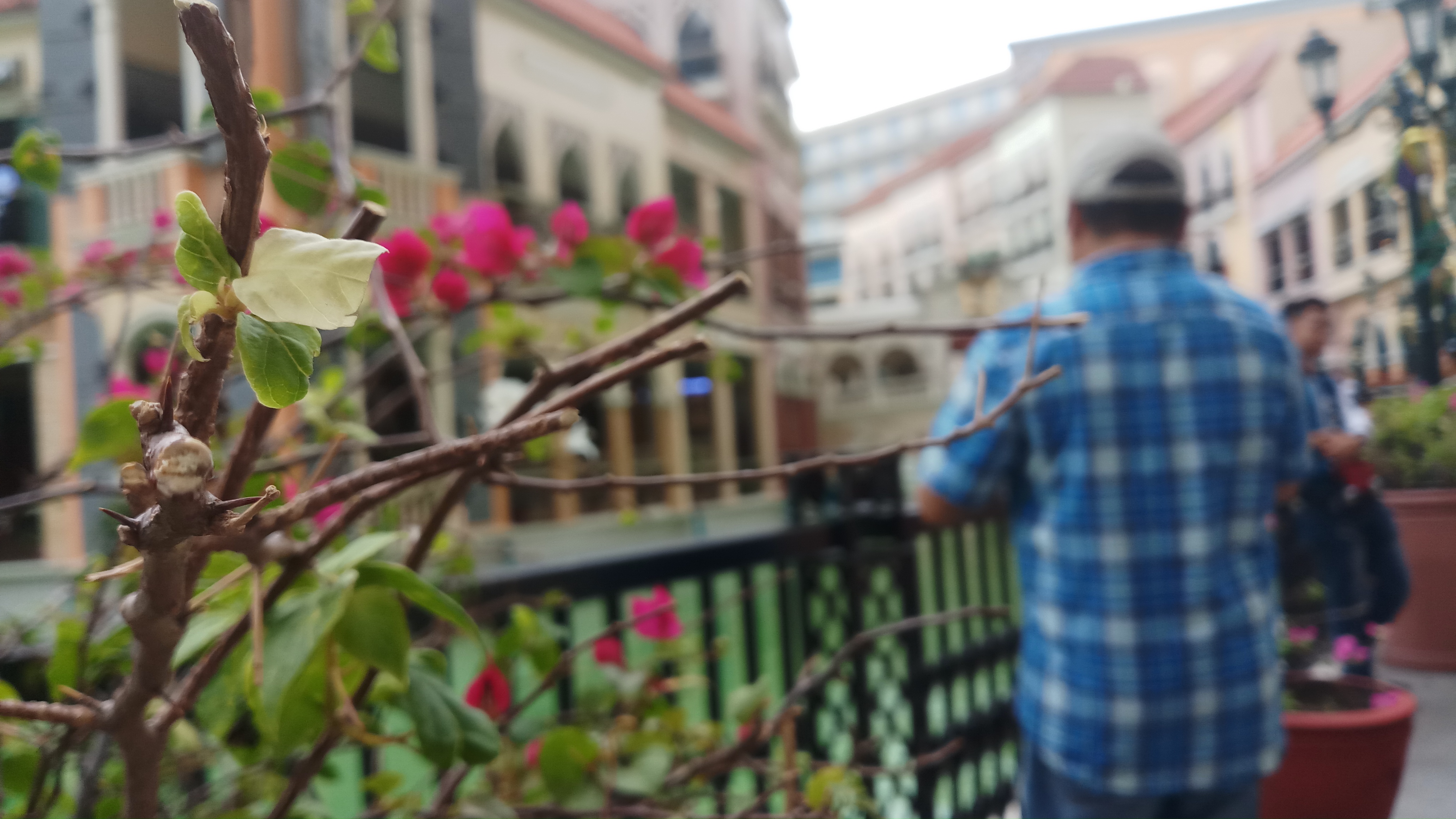 20180525_162413.jpg