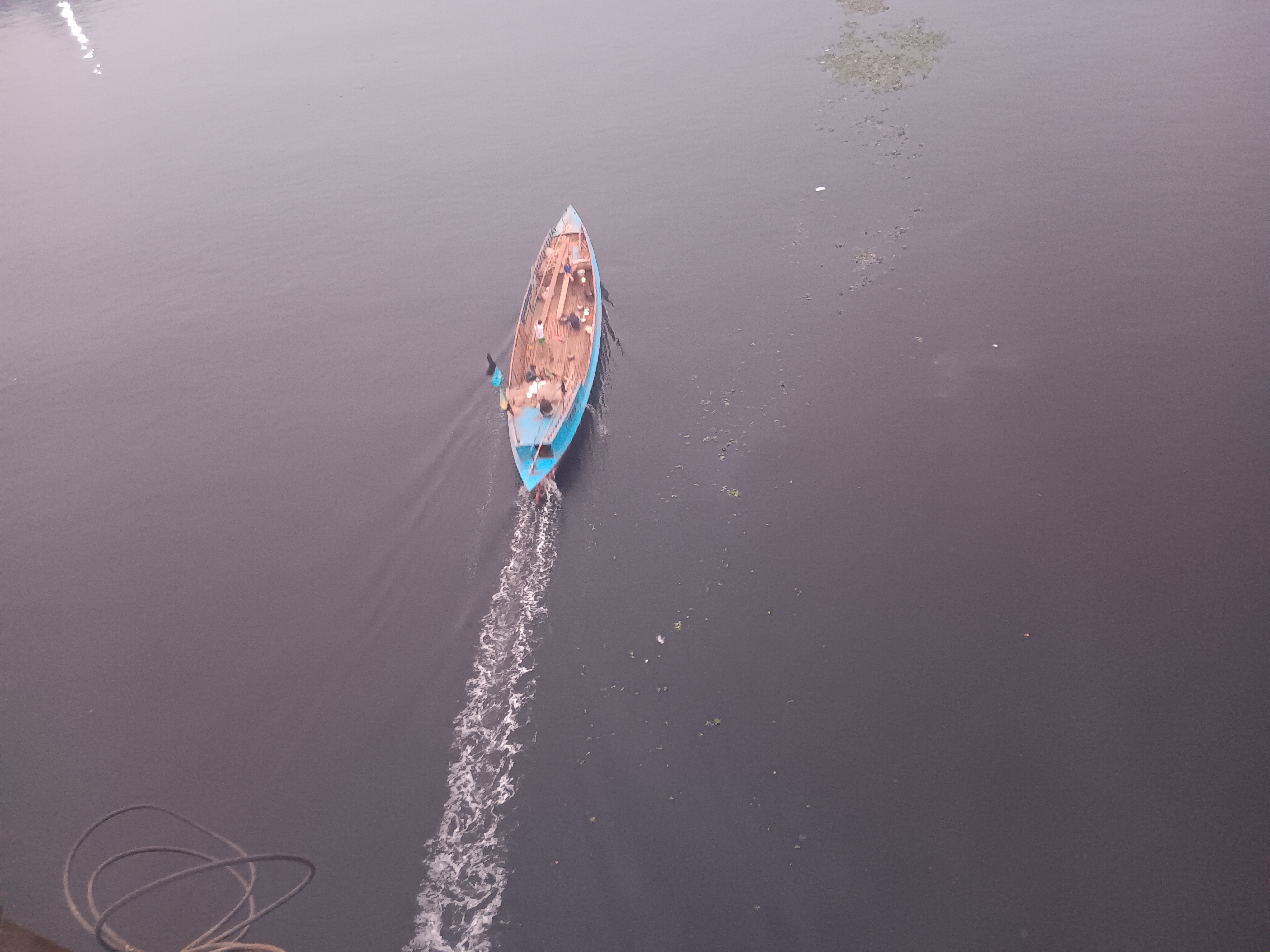 1000016265.jpg