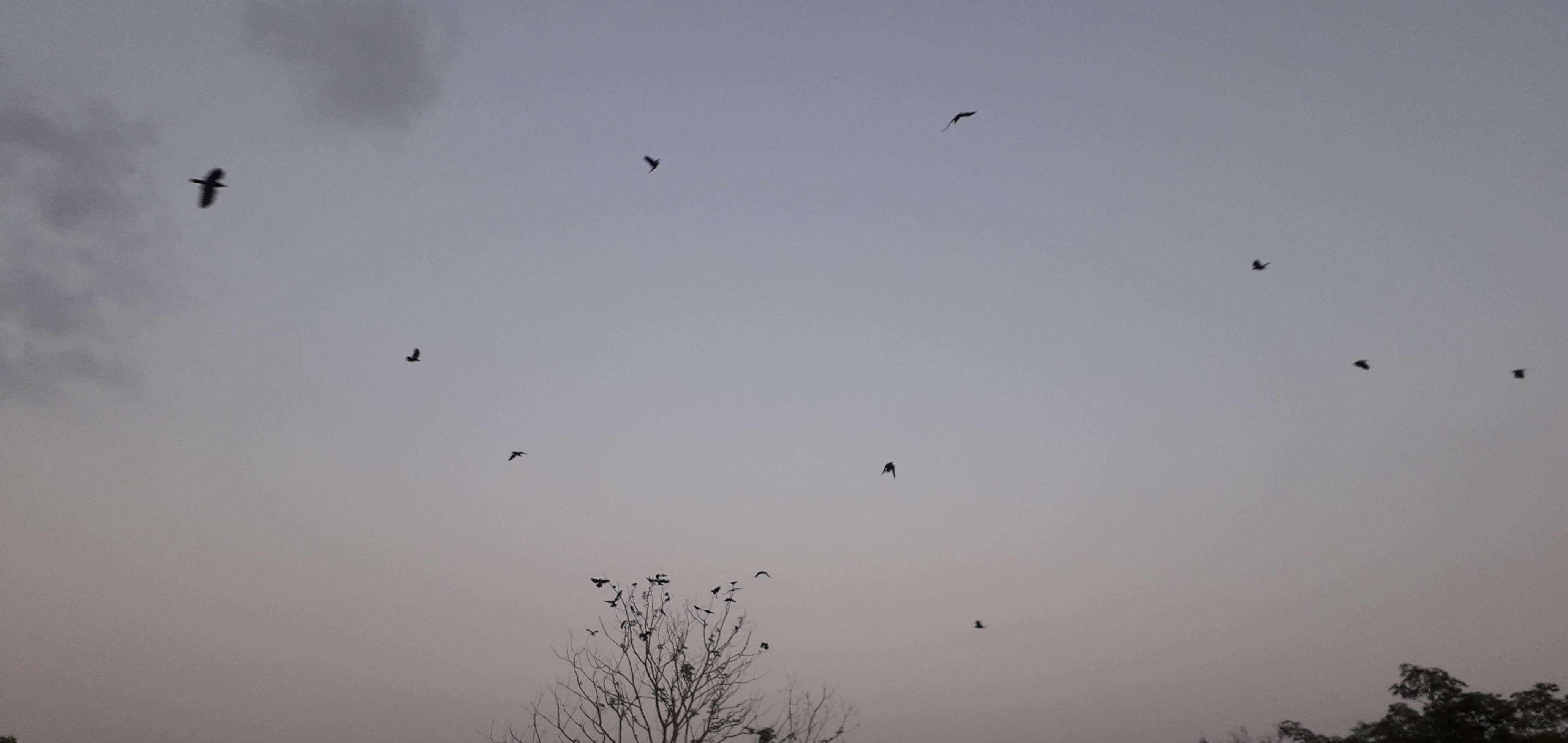 20190604_185304_025.jpg