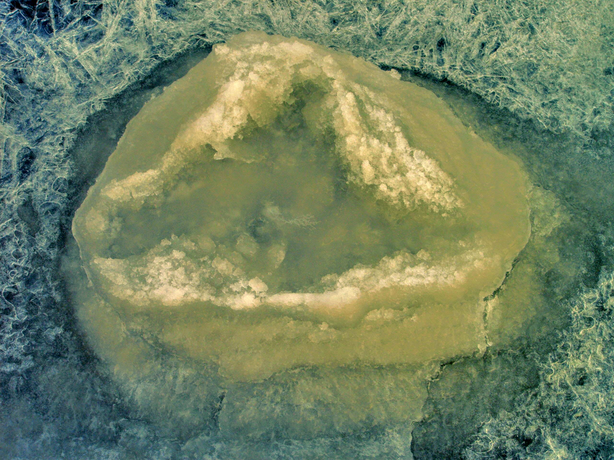 IMAG0004.jpg