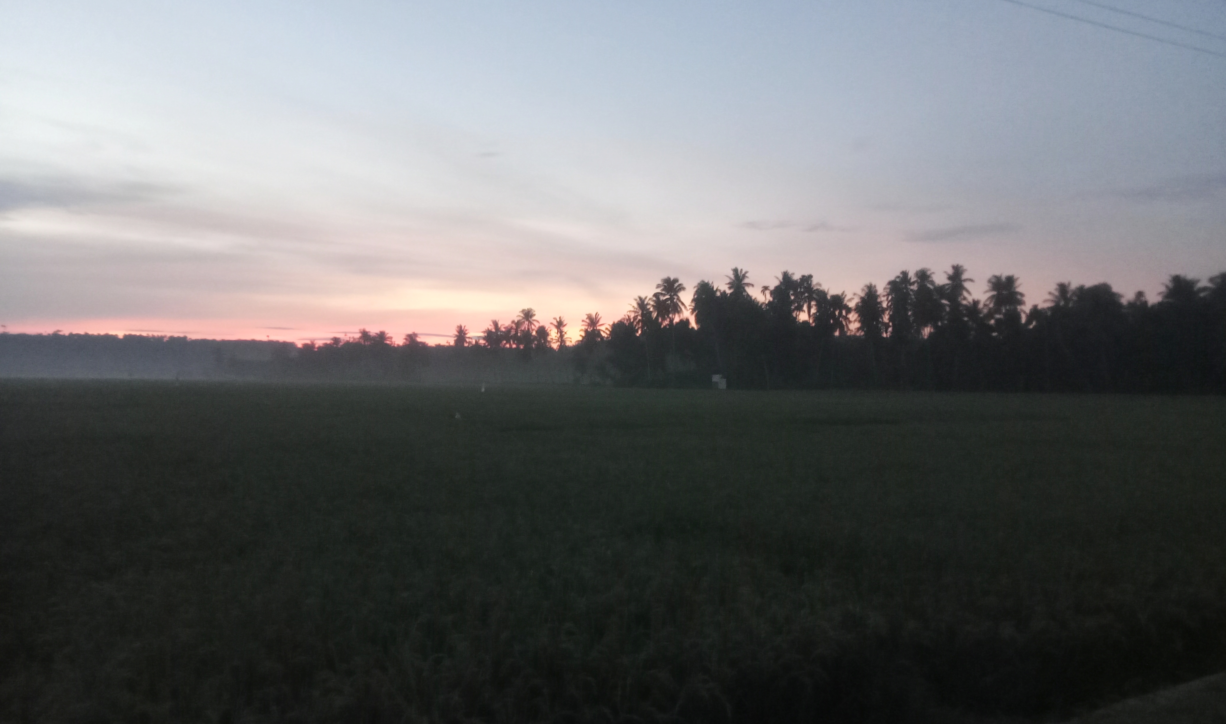 IMG20260929060409_01-01.jpeg