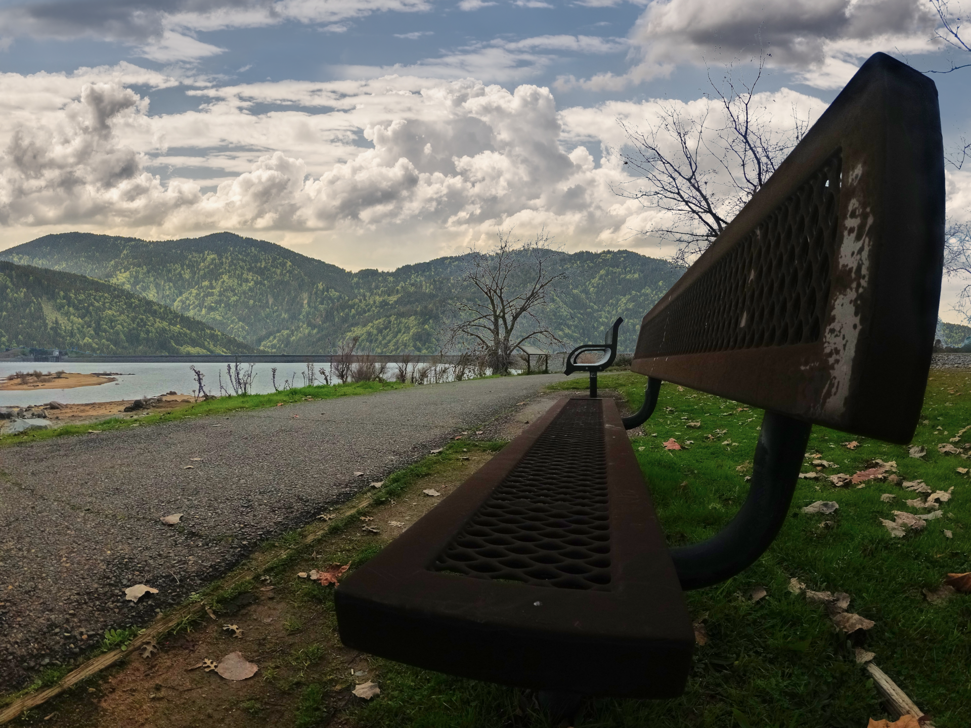 YIAC0601-found-inspirations-front-row-seat-#275.png