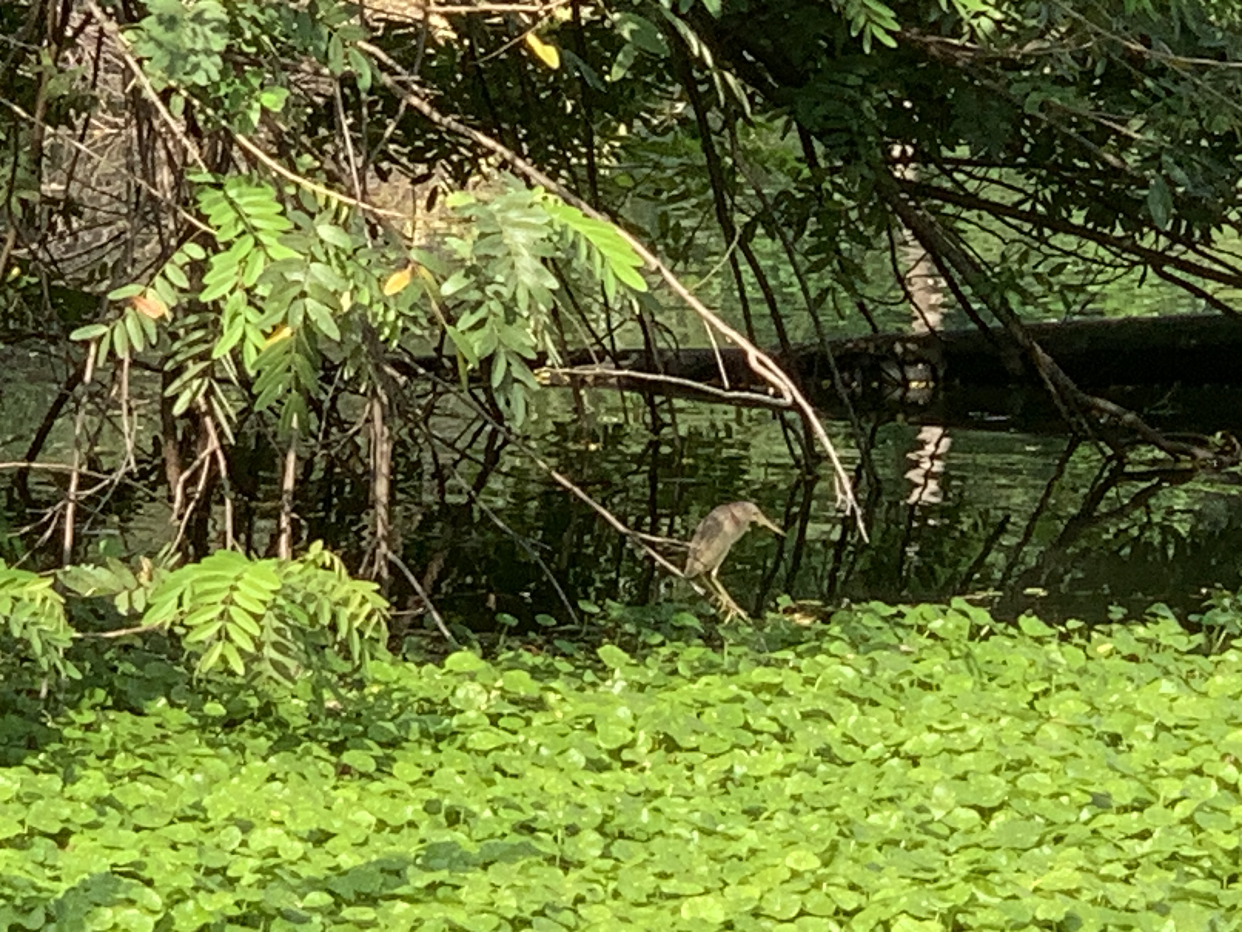 birdwatching spots14.jpg