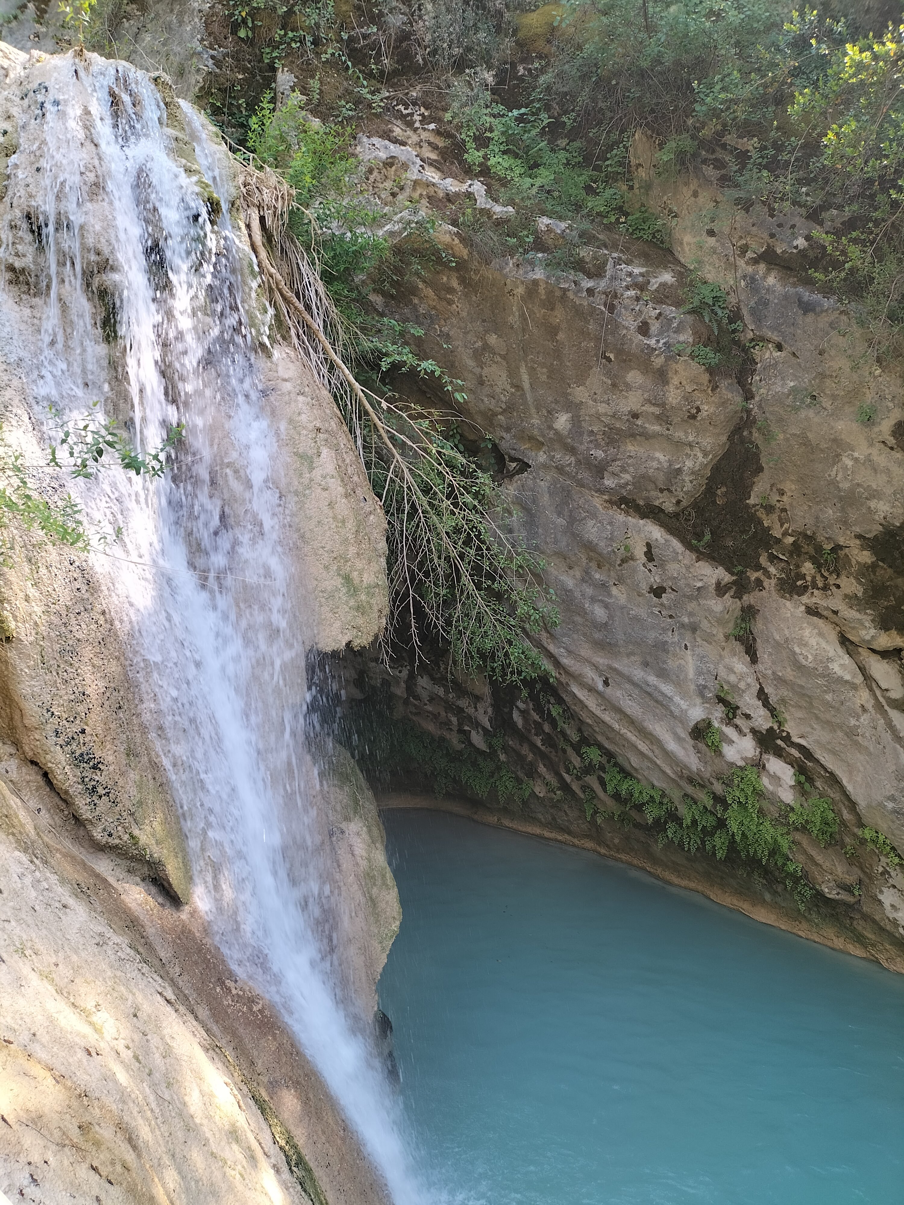 IMG20220520153132.jpg