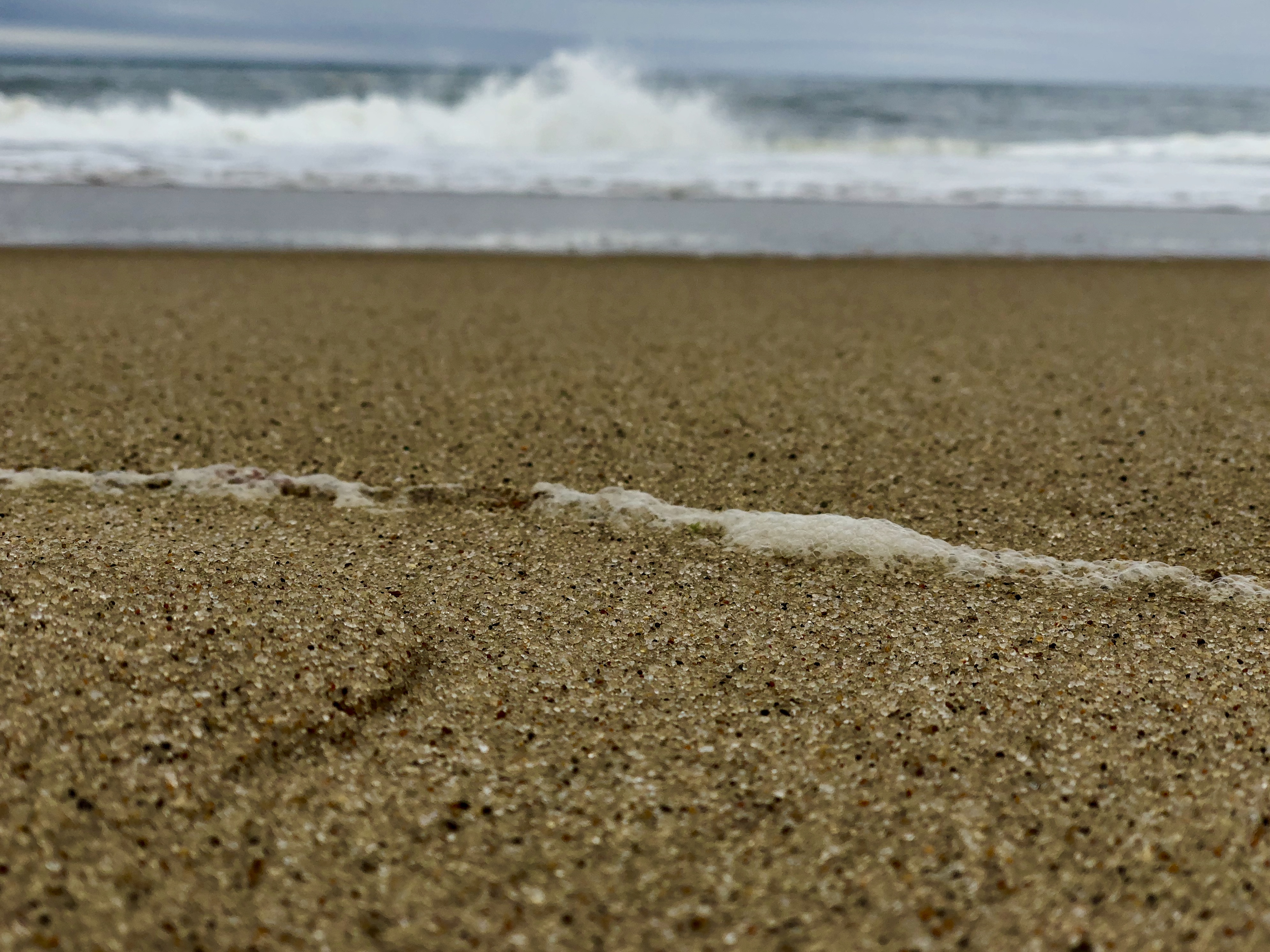 C50F0A5D-5E1A-41B0-8362-A58718BA25D0.jpeg