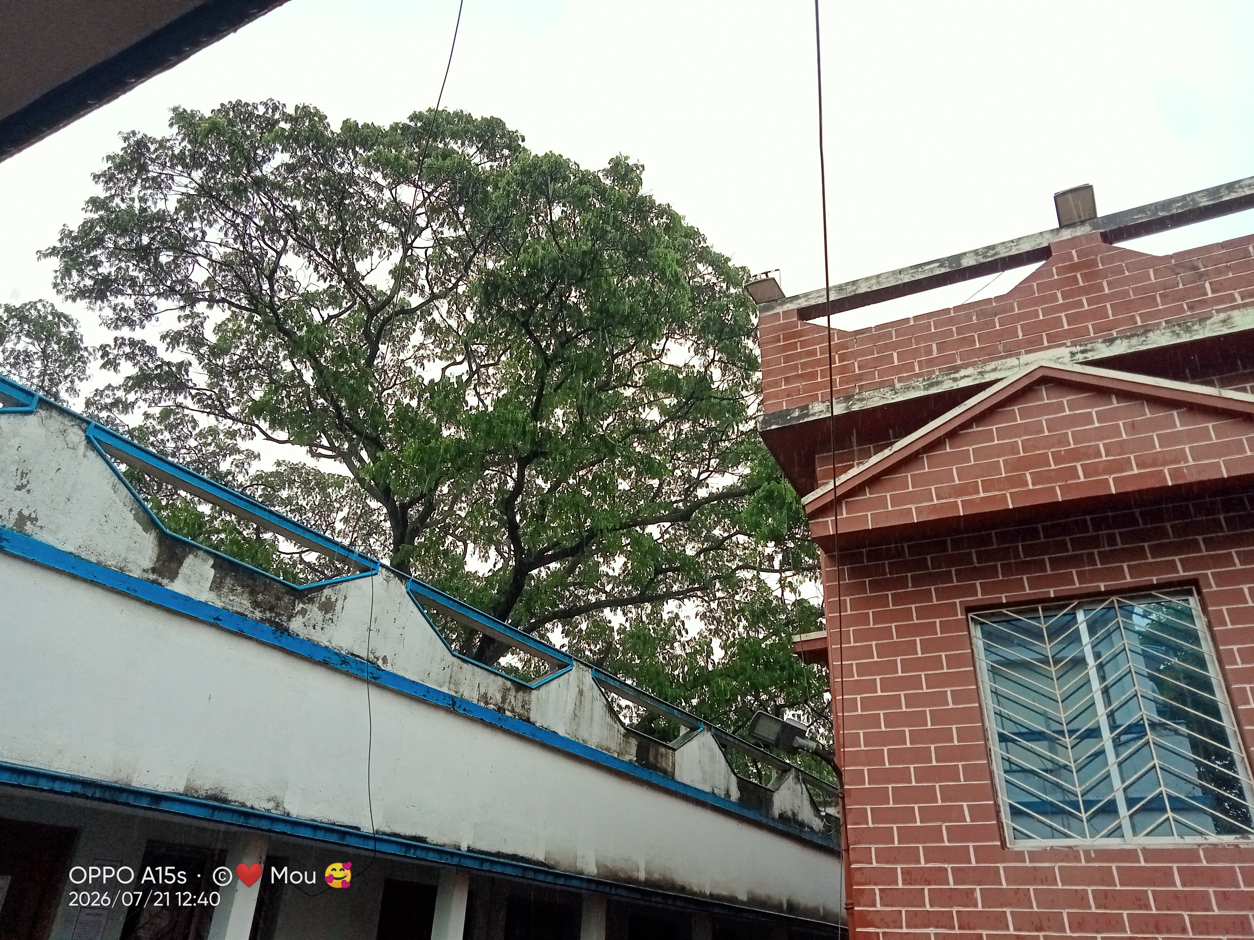 IMG20260721124024.jpg
