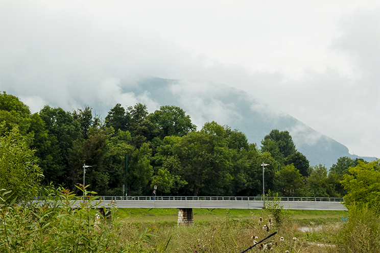 _MG_82244.jpg