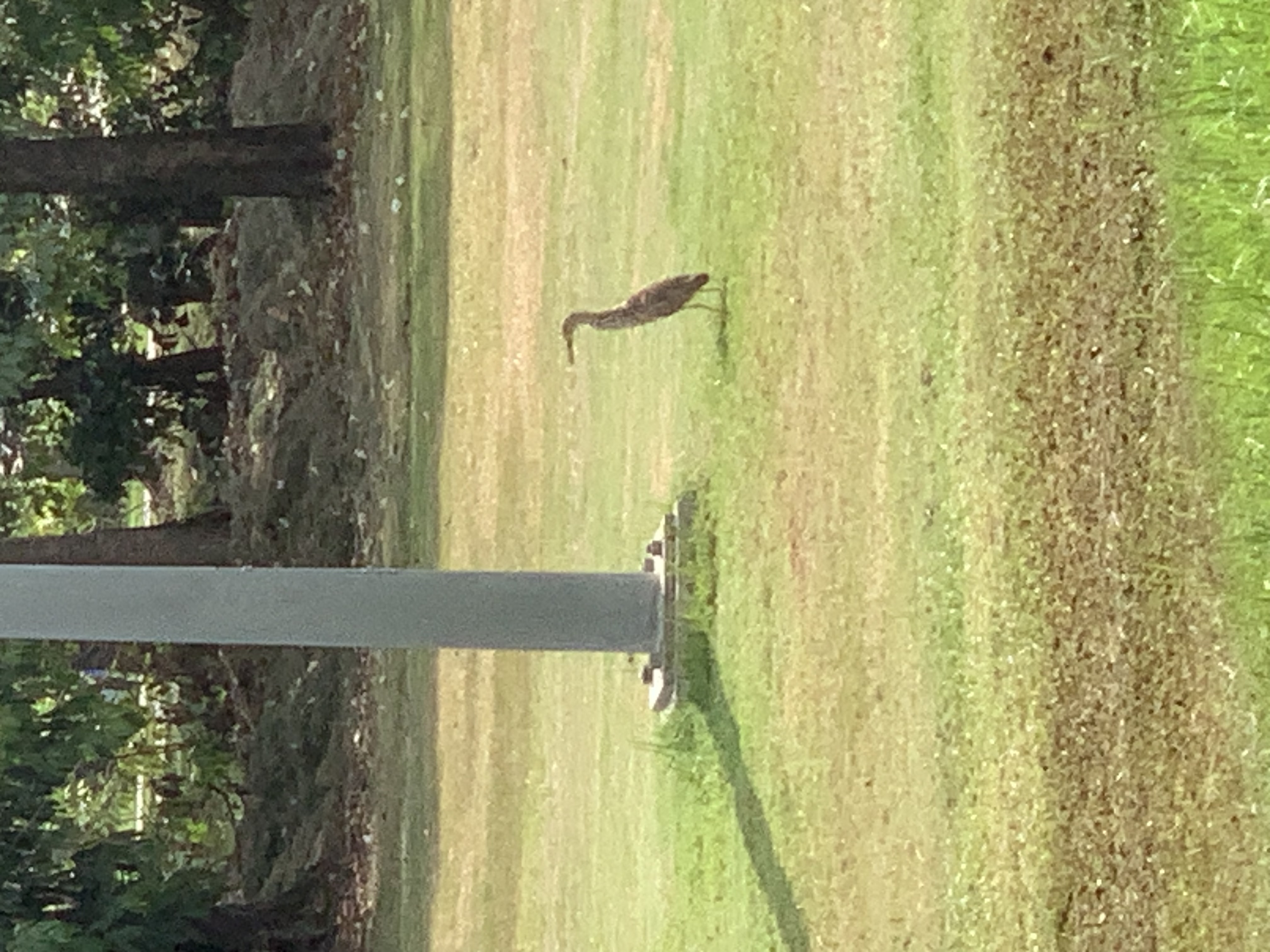 birdwatching spots29.jpg