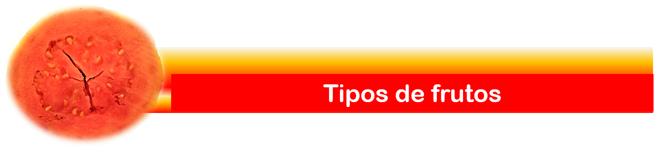 tipos.png