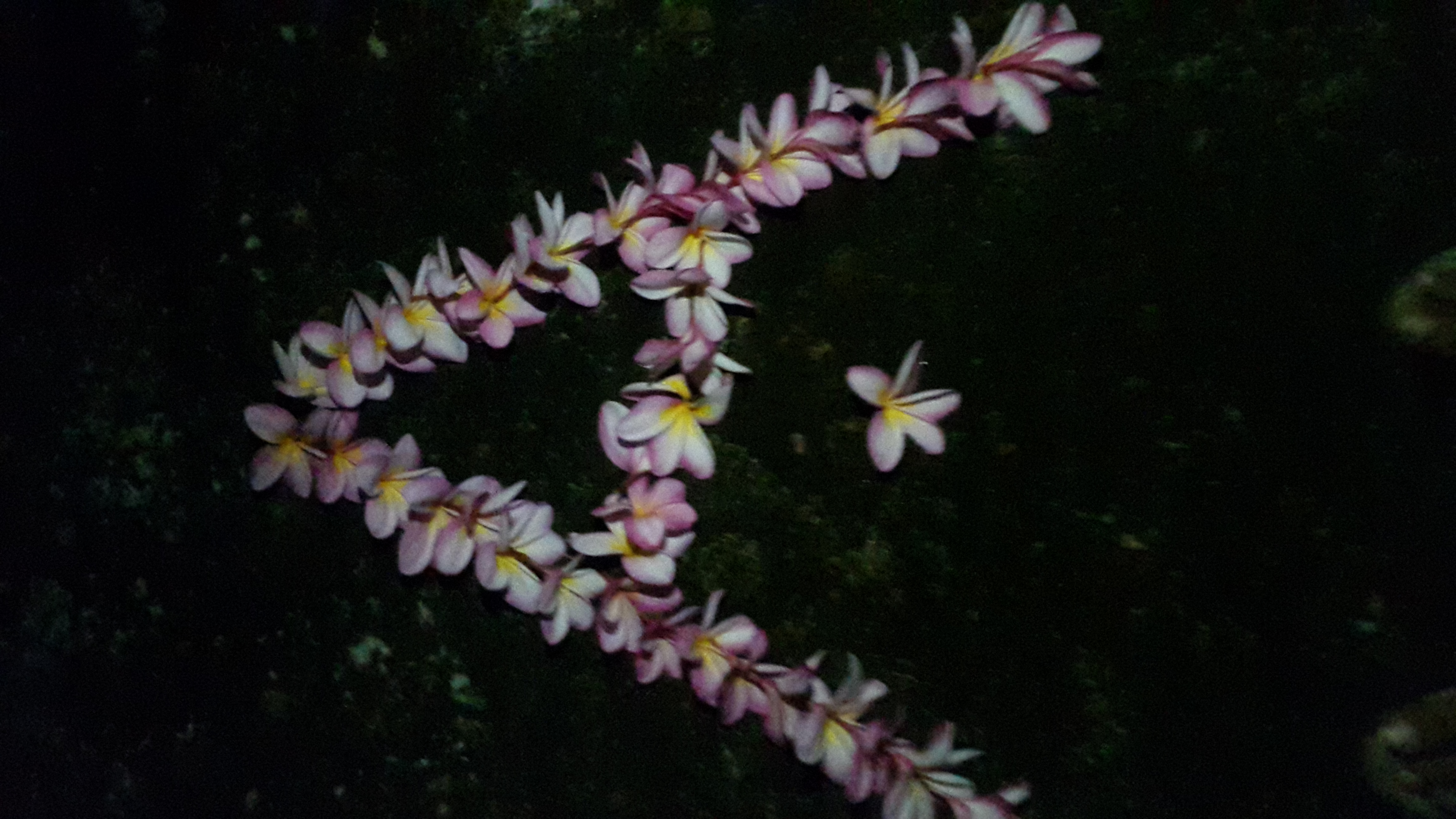 20180510_185818.jpg