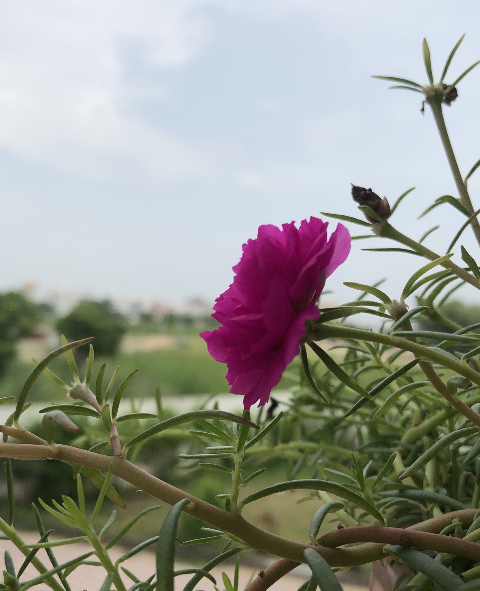 DCB18002-48FB-4DBD-A9AB-8E9E4E708F35.jpeg