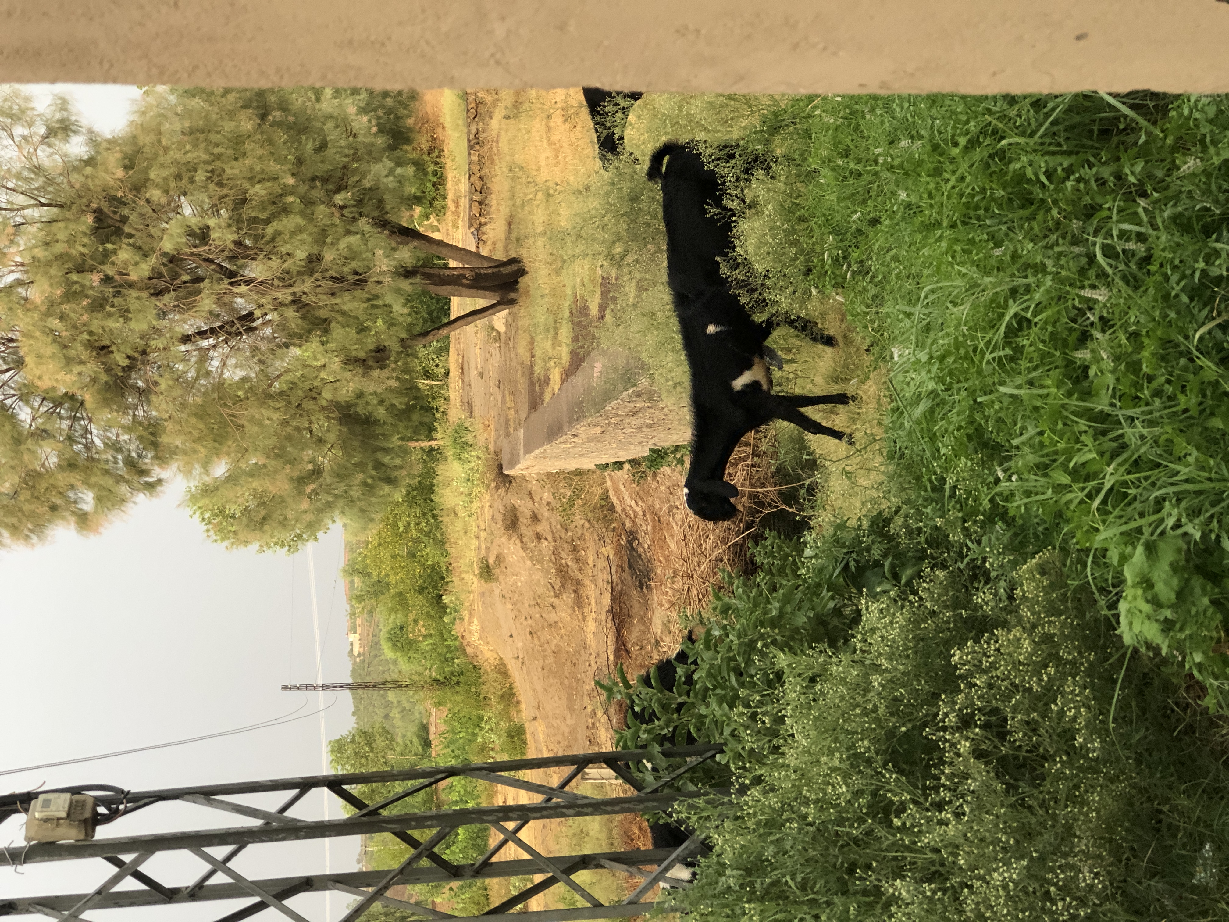 IMG_9055.jpeg