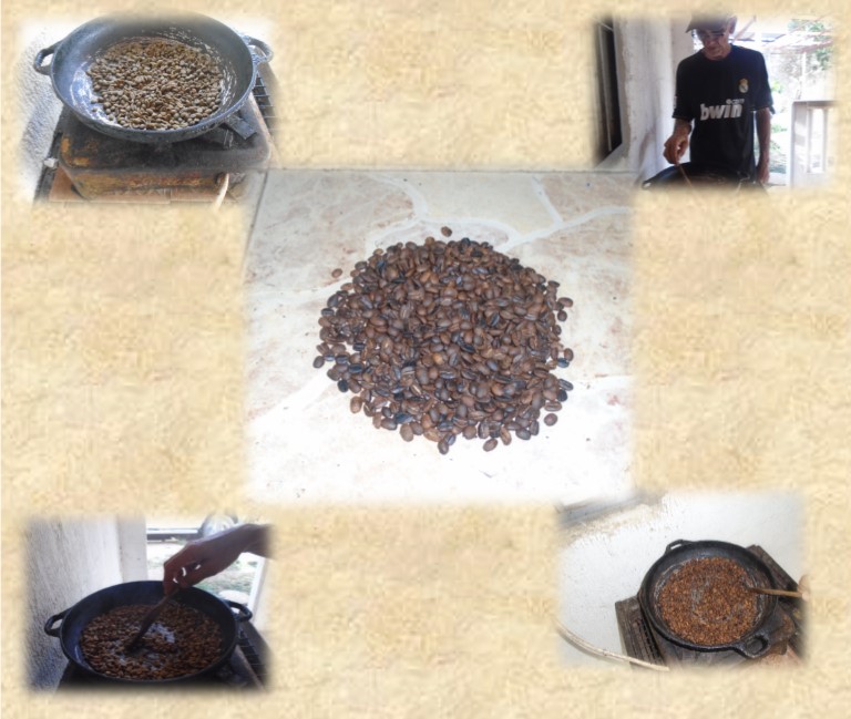 IMAGEN 3 TOSTADO.jpg