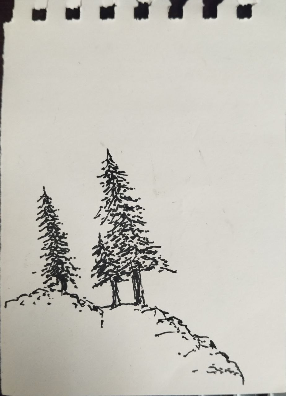 img01.jpg