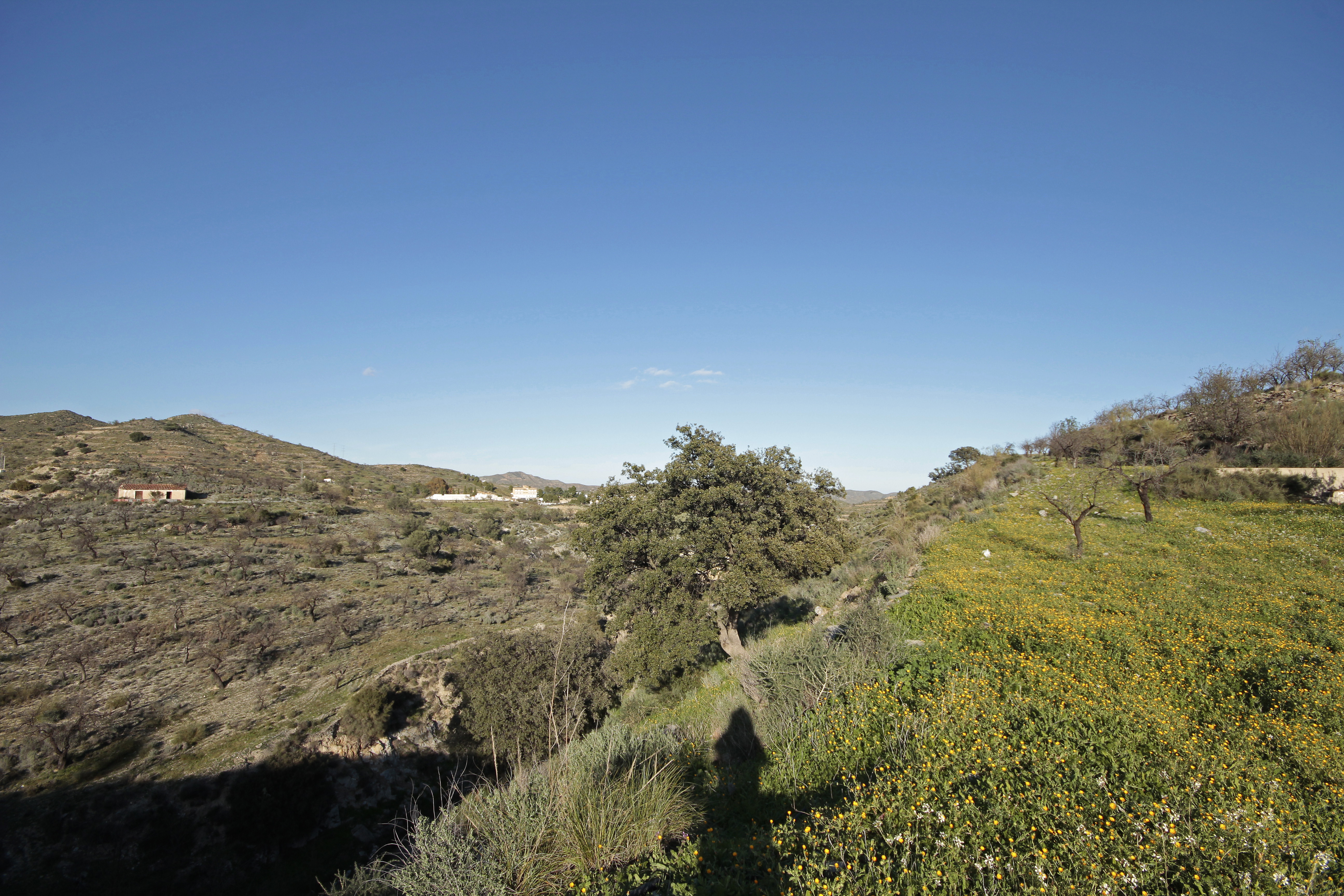 _MG_1773.jpg