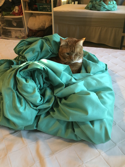 blazeblanket.jpg