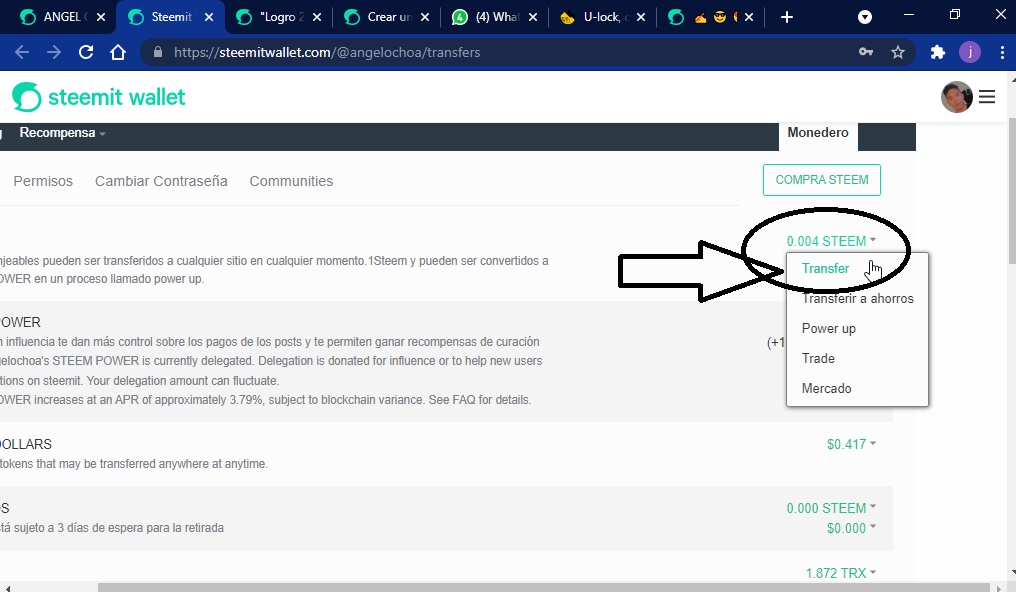 2021_06_09_12_36_05_Steemit_Wallet.jpg