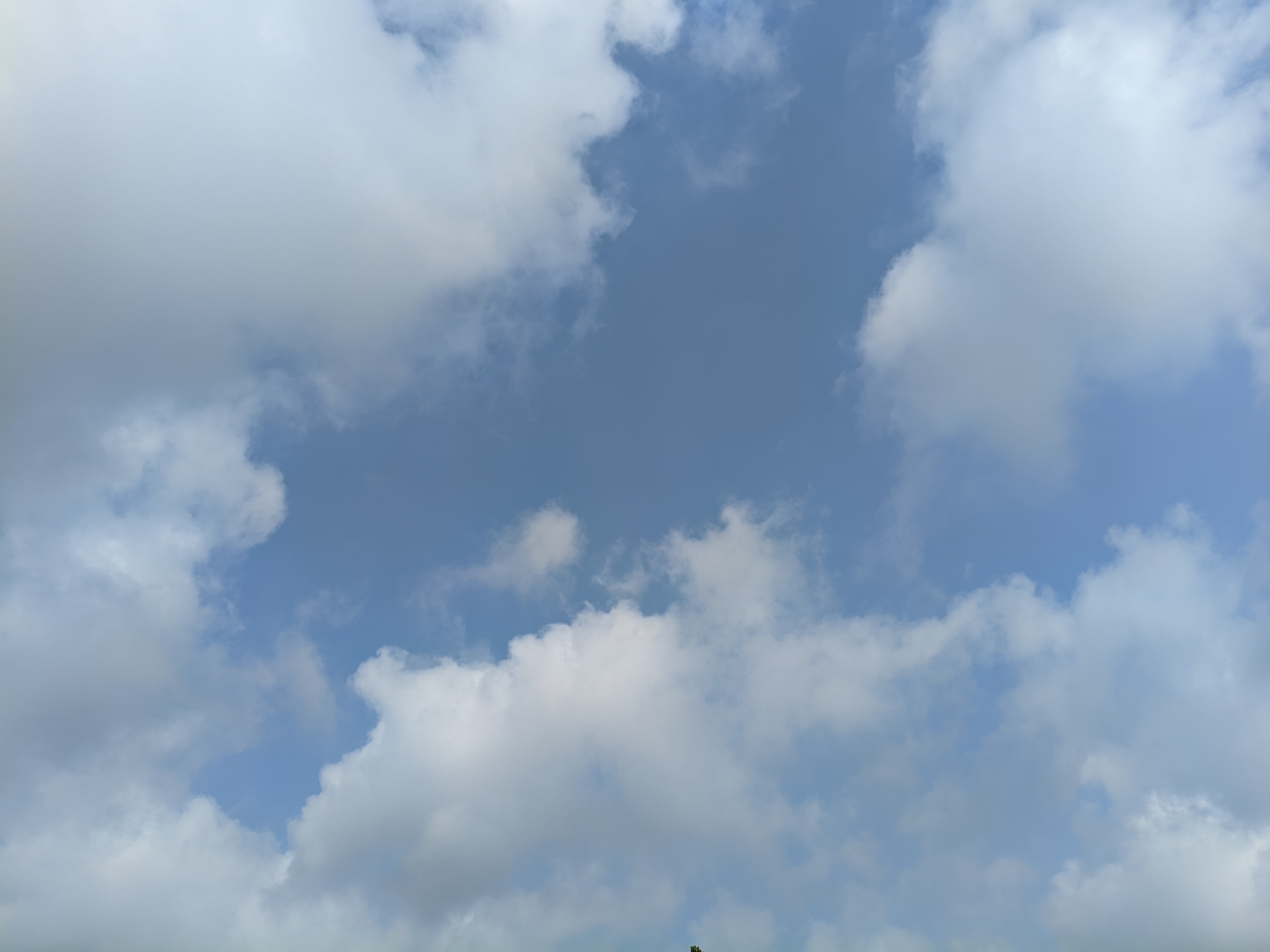 1775981453343.jpg