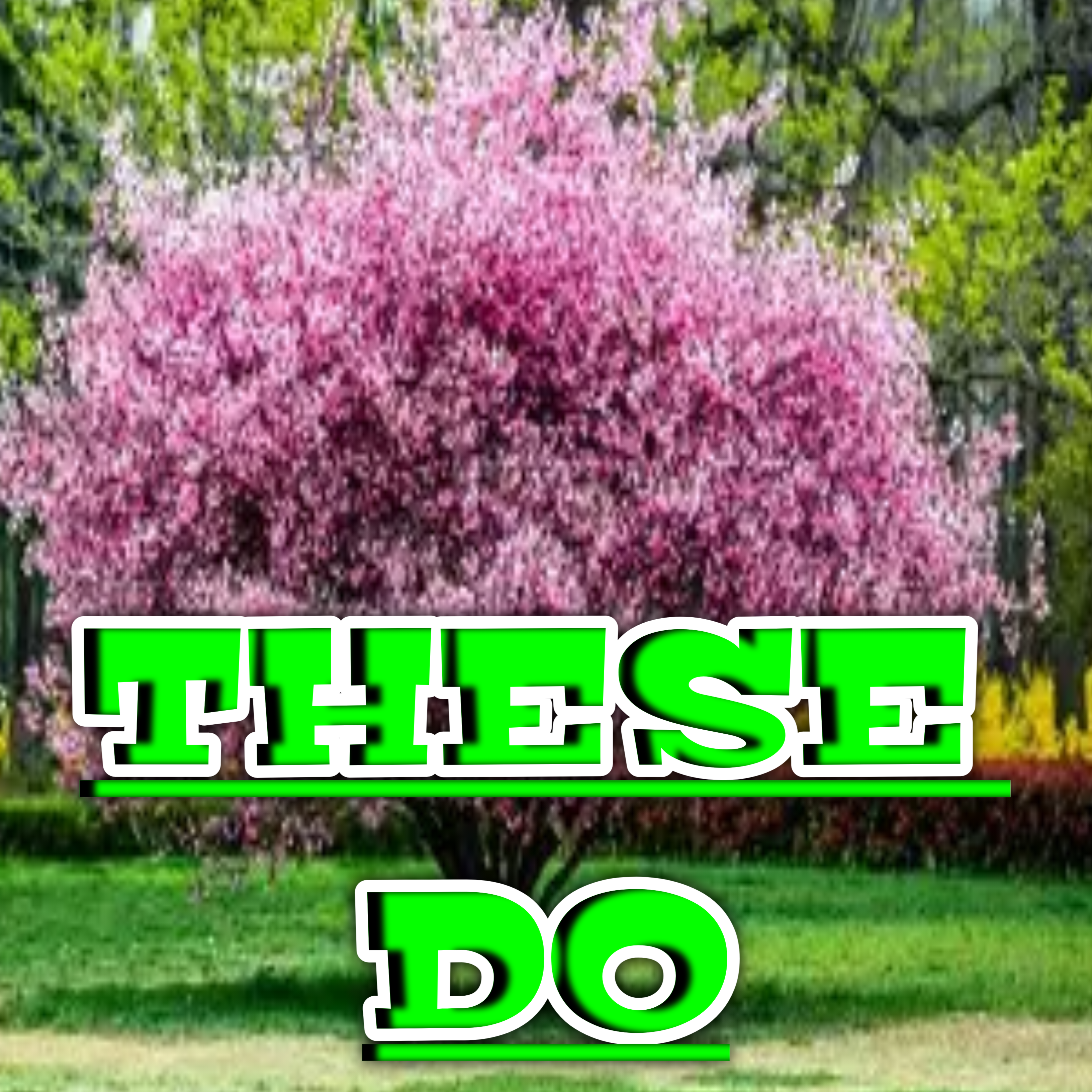20260623_112845.png