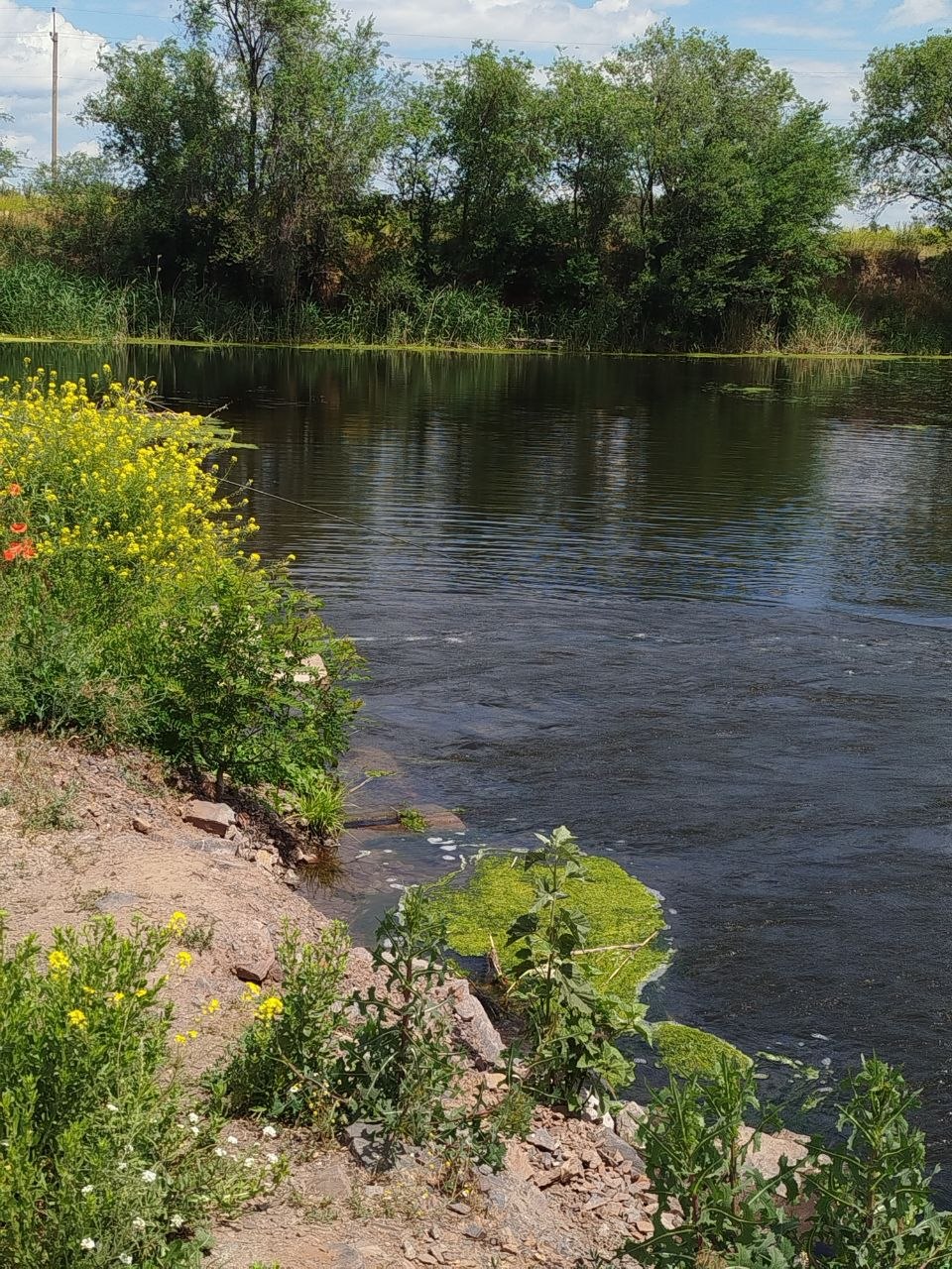 photo_2026-06-16_20-32-46.jpg