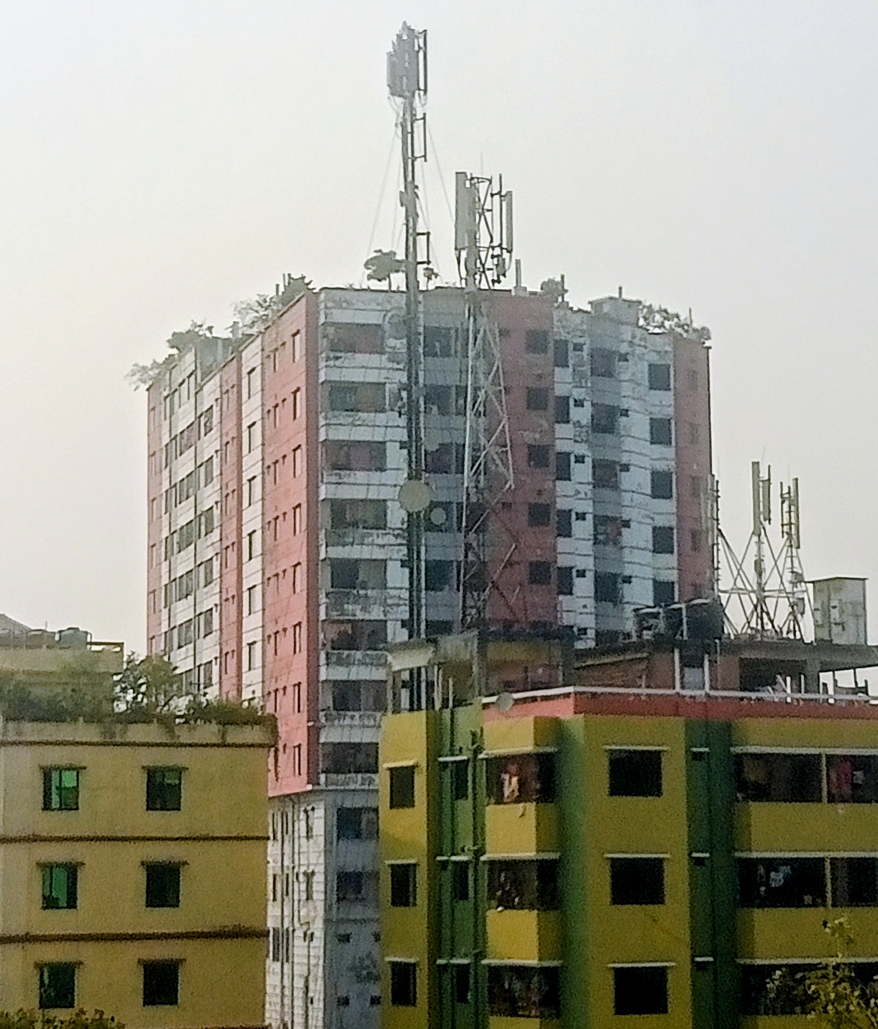 IMG20260220152234~2.jpg