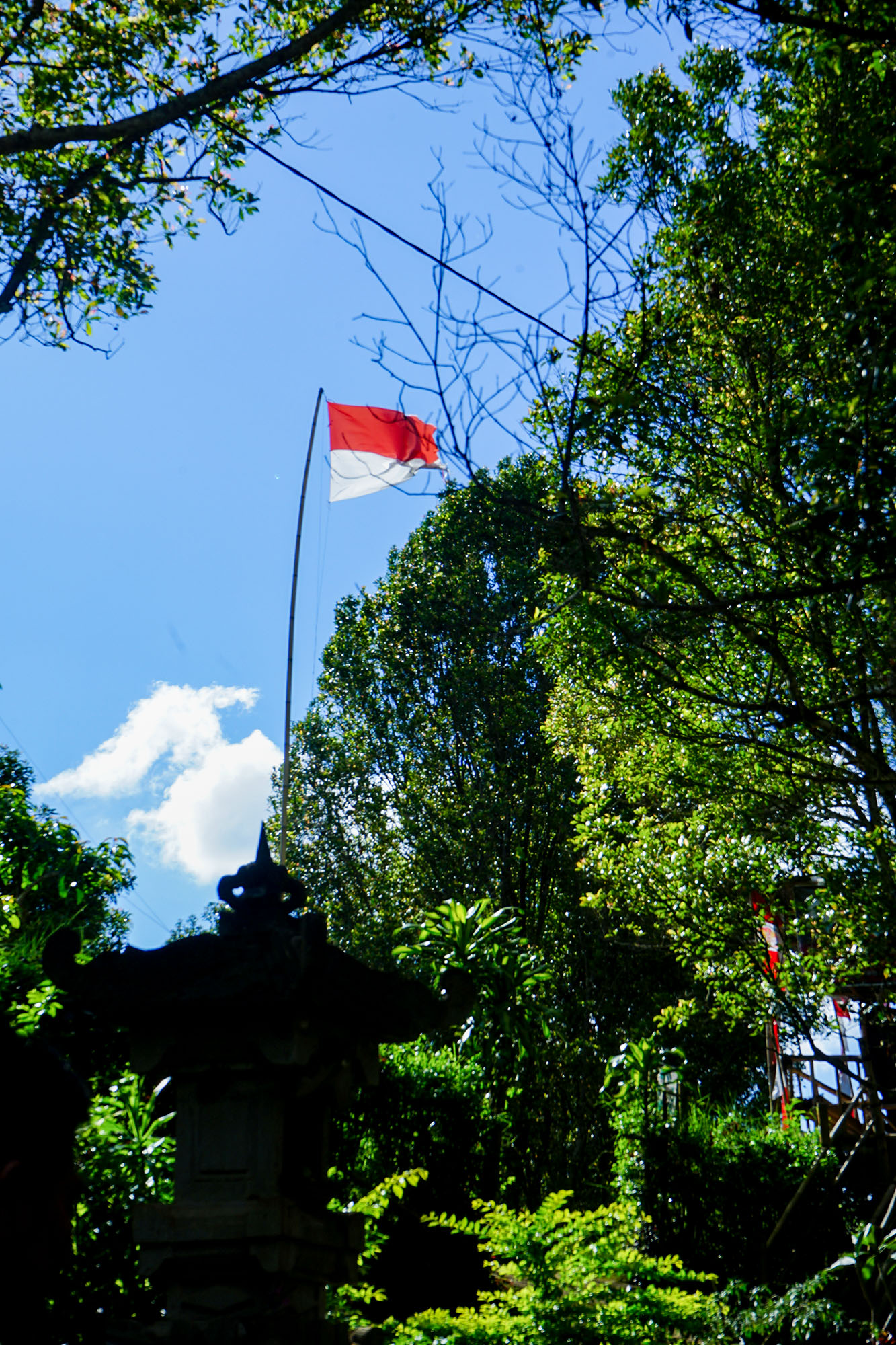 DSC04571.JPG