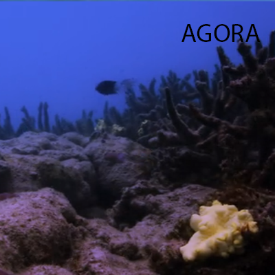 CORAL3AGORA.png