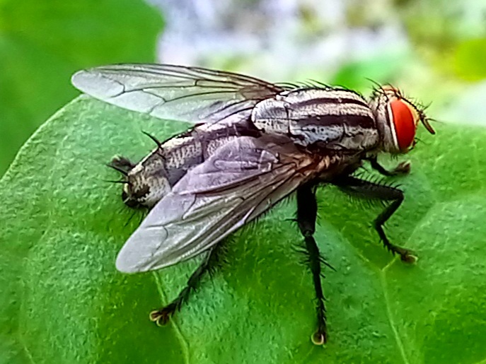 20220606_125058.jpg