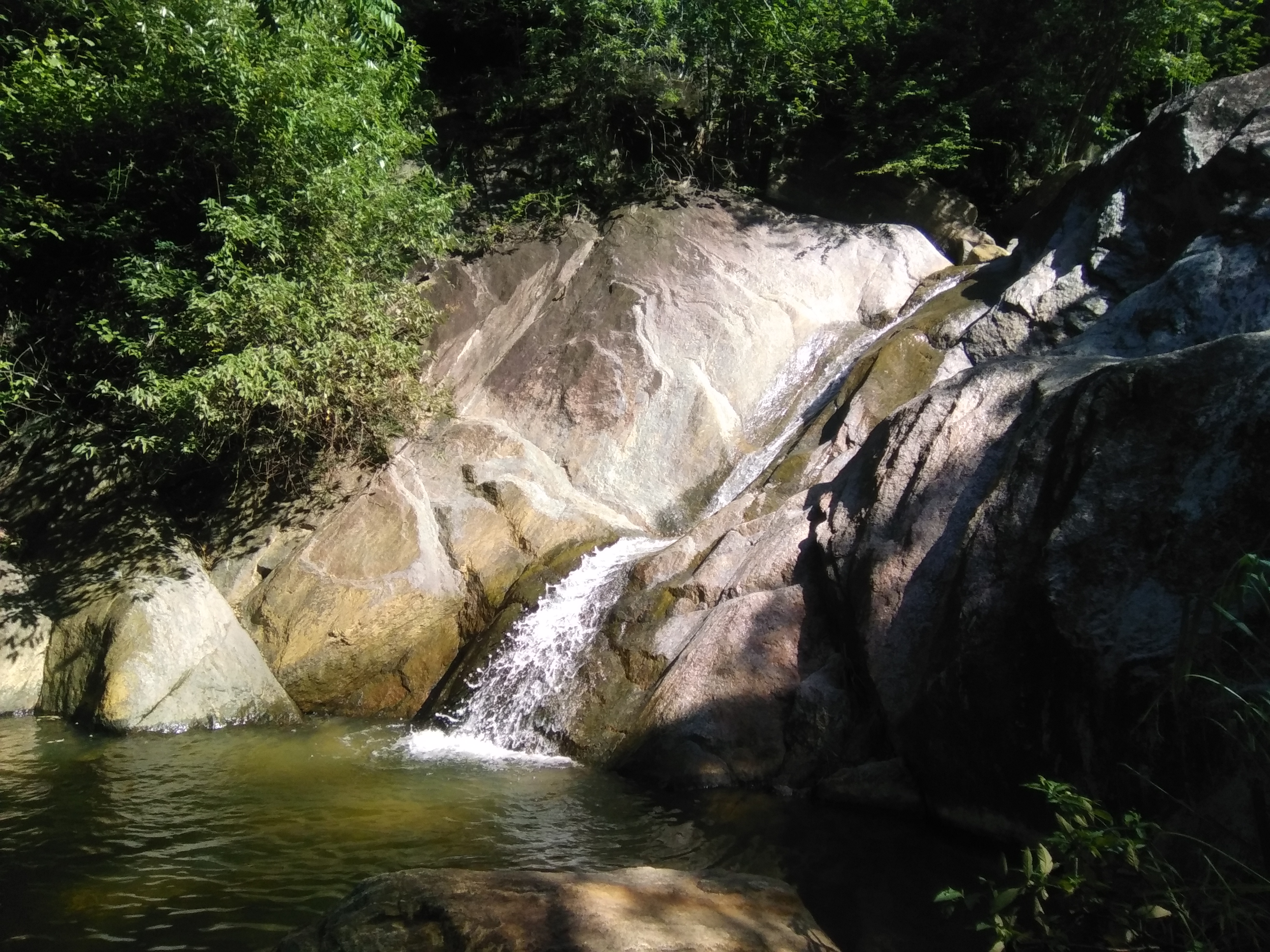 IMG_20220904_091309.jpg