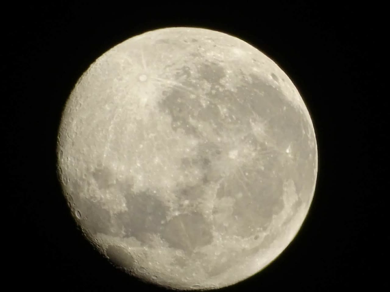 IMG-20190119-WA0007.jpg