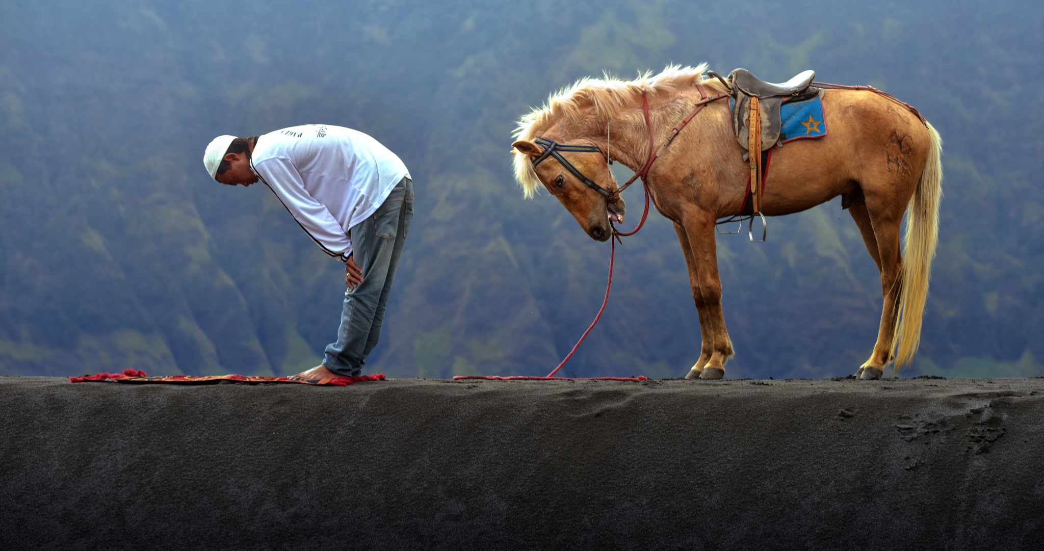Namaz-kılmayan-hayvandır.jpg