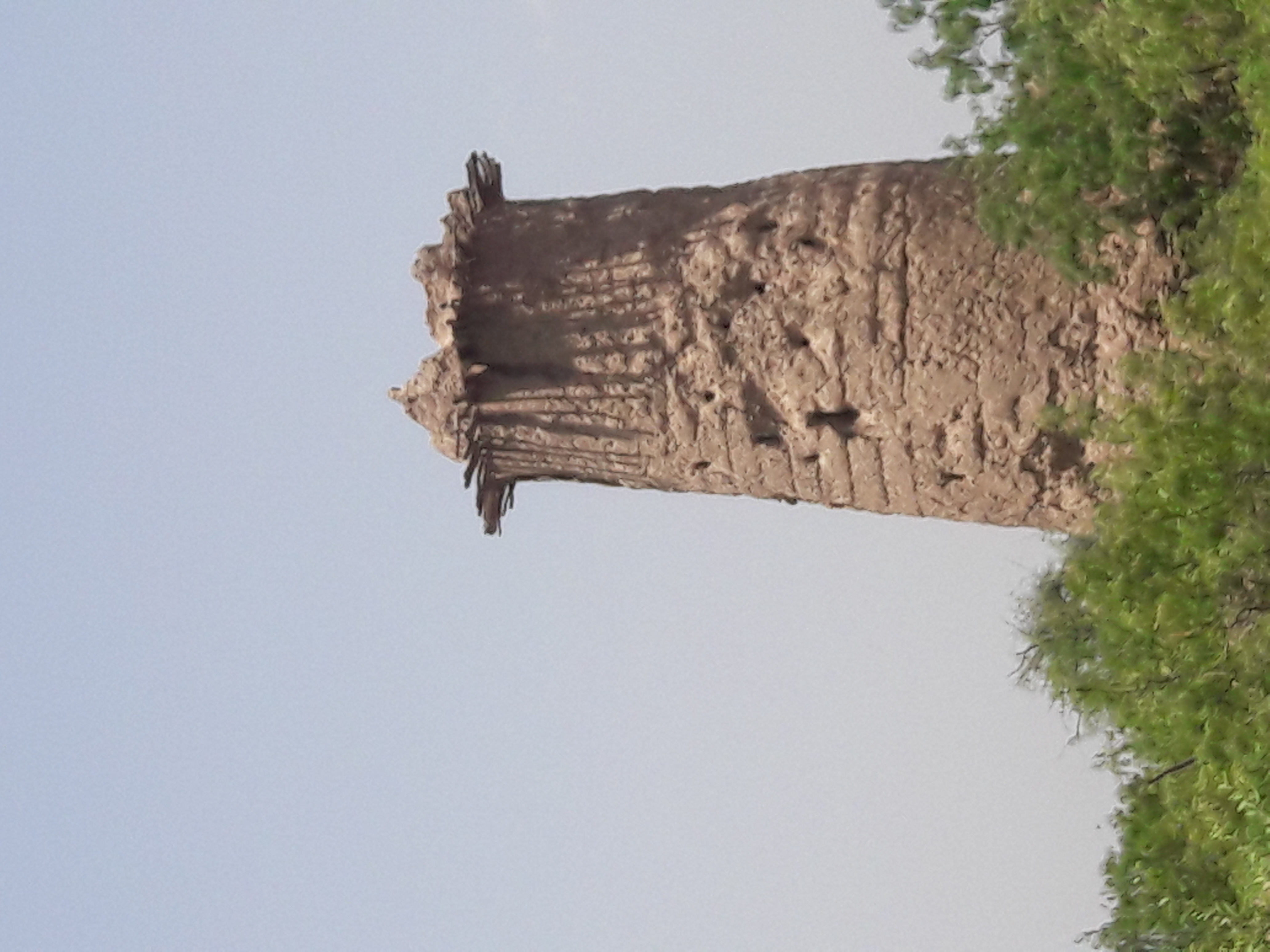 20180710_111228.jpg