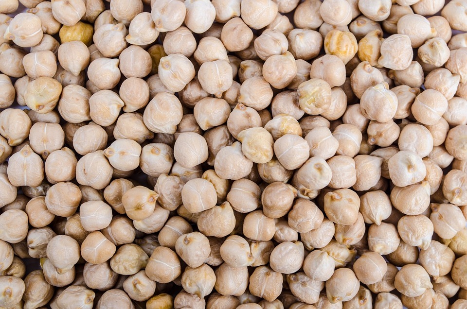 chickpea-316593_960_720.jpg