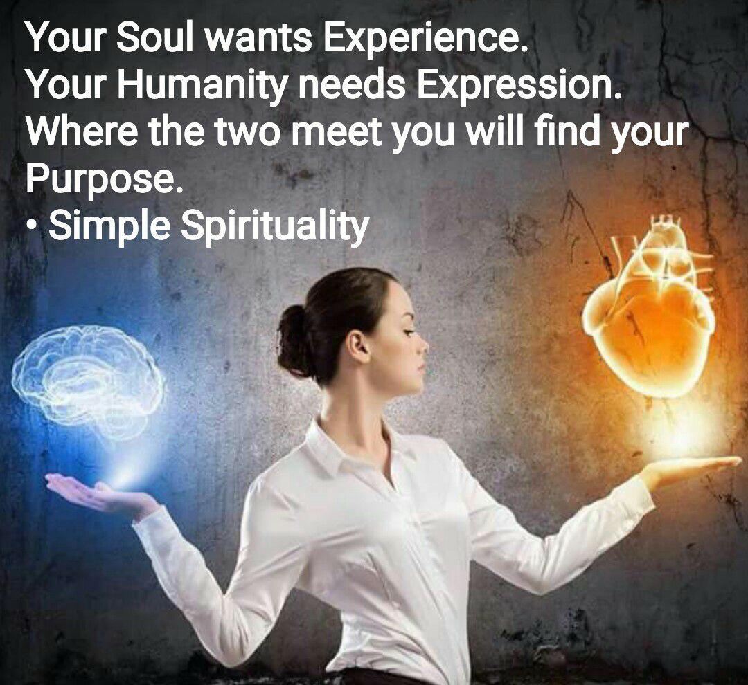 your soul wants experience.jpeg
