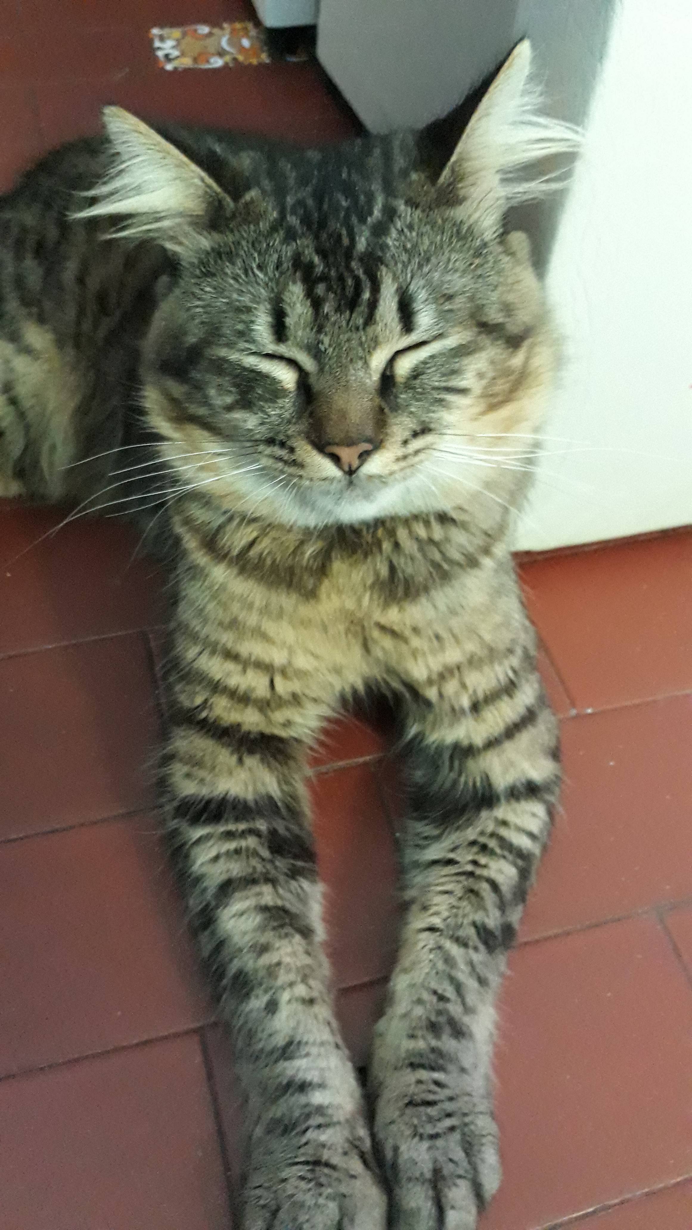 20190421_114323.jpg
