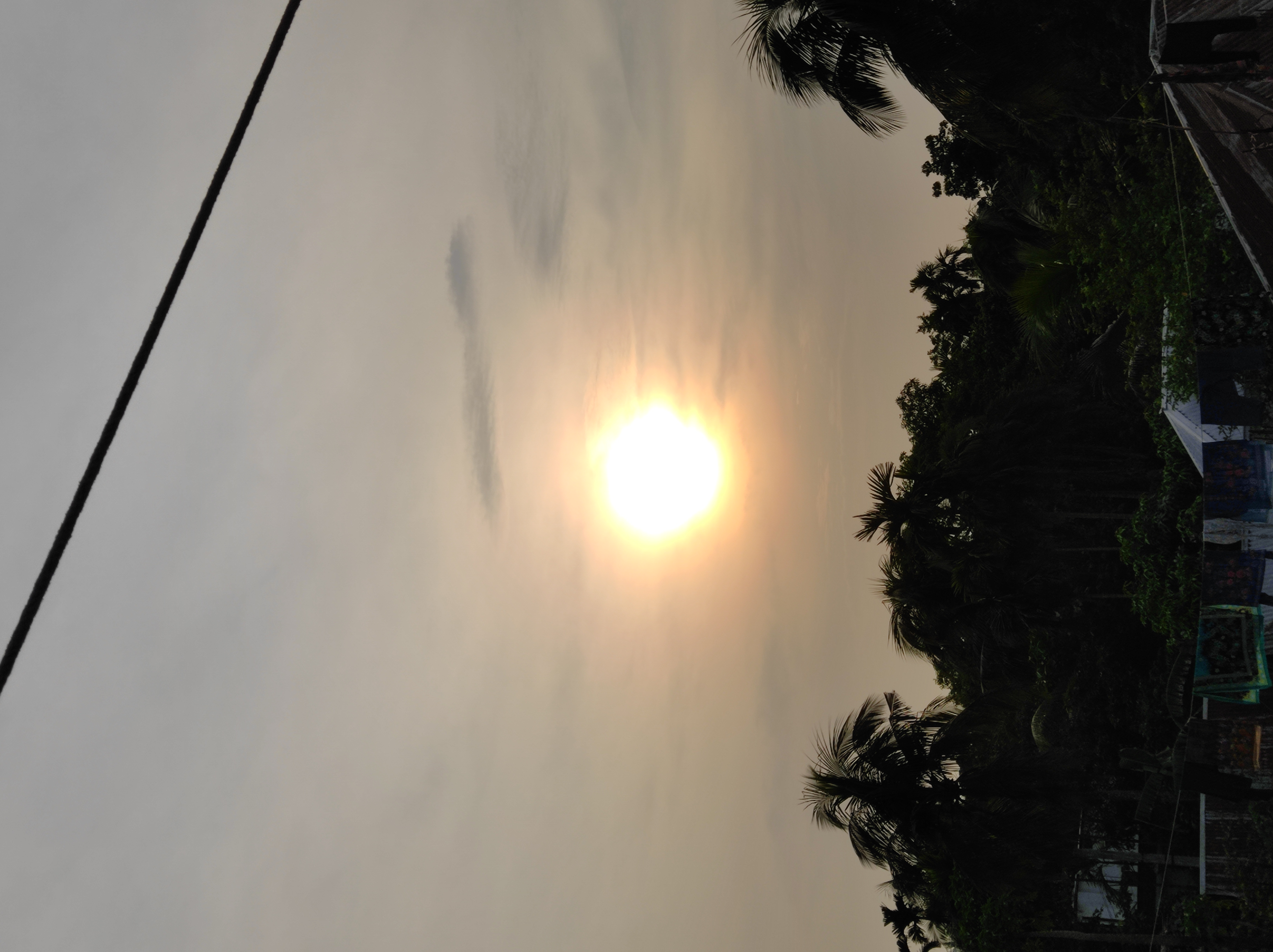 IMG_20230513_172821.jpg
