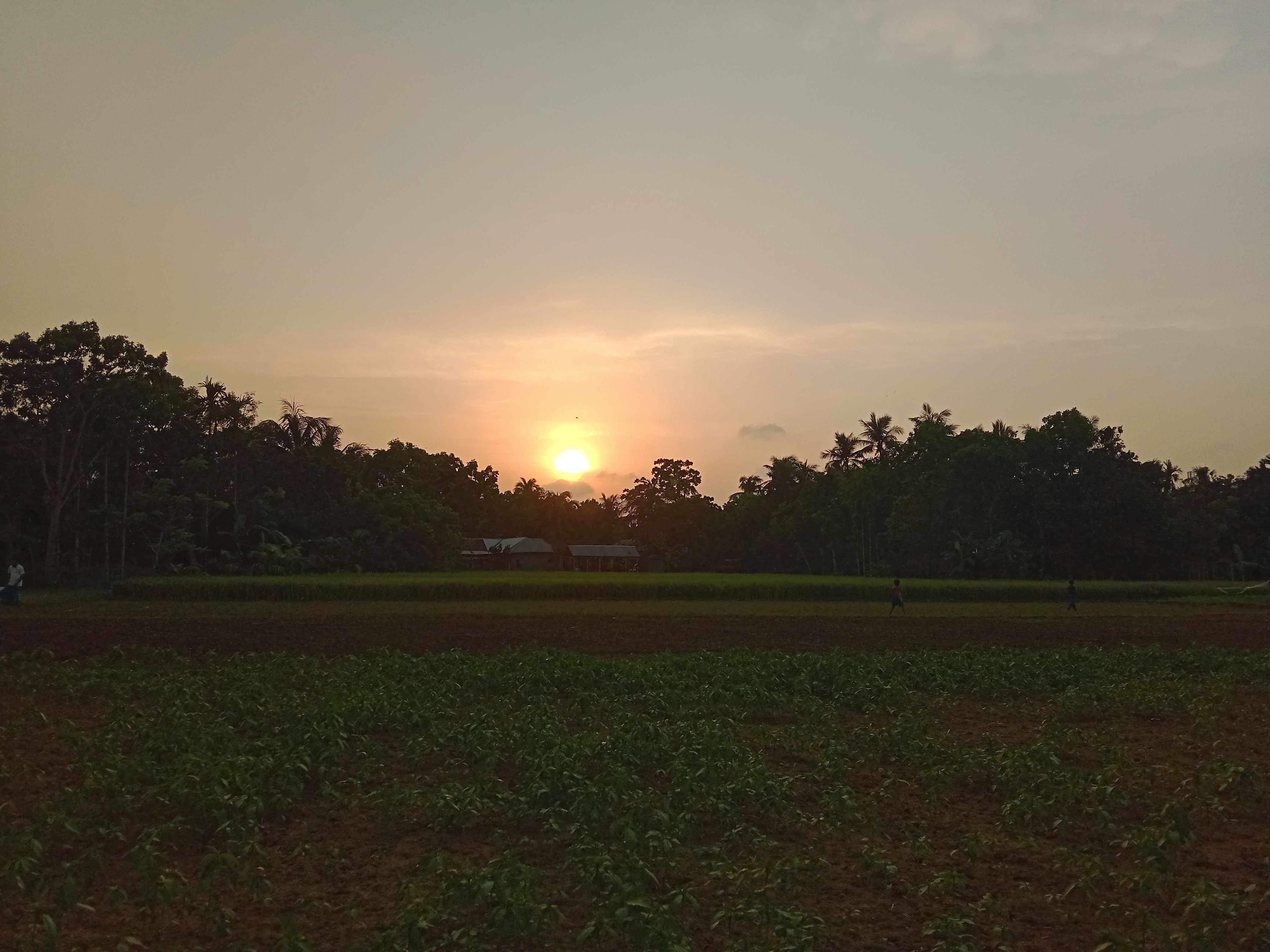 IMG_20260430_082358.jpg