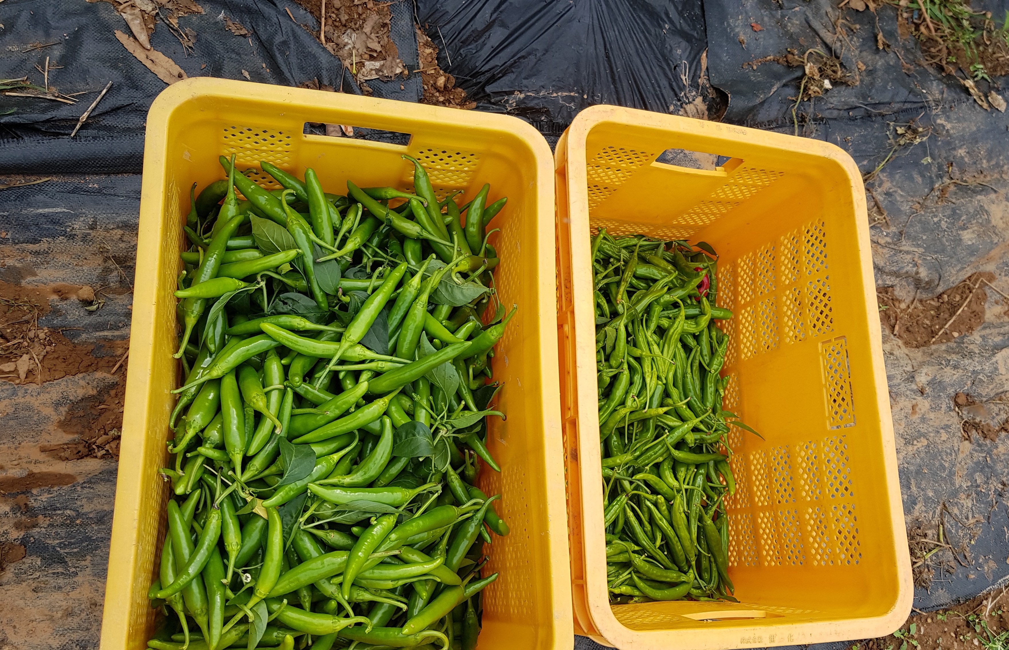 20181009_221317.jpg