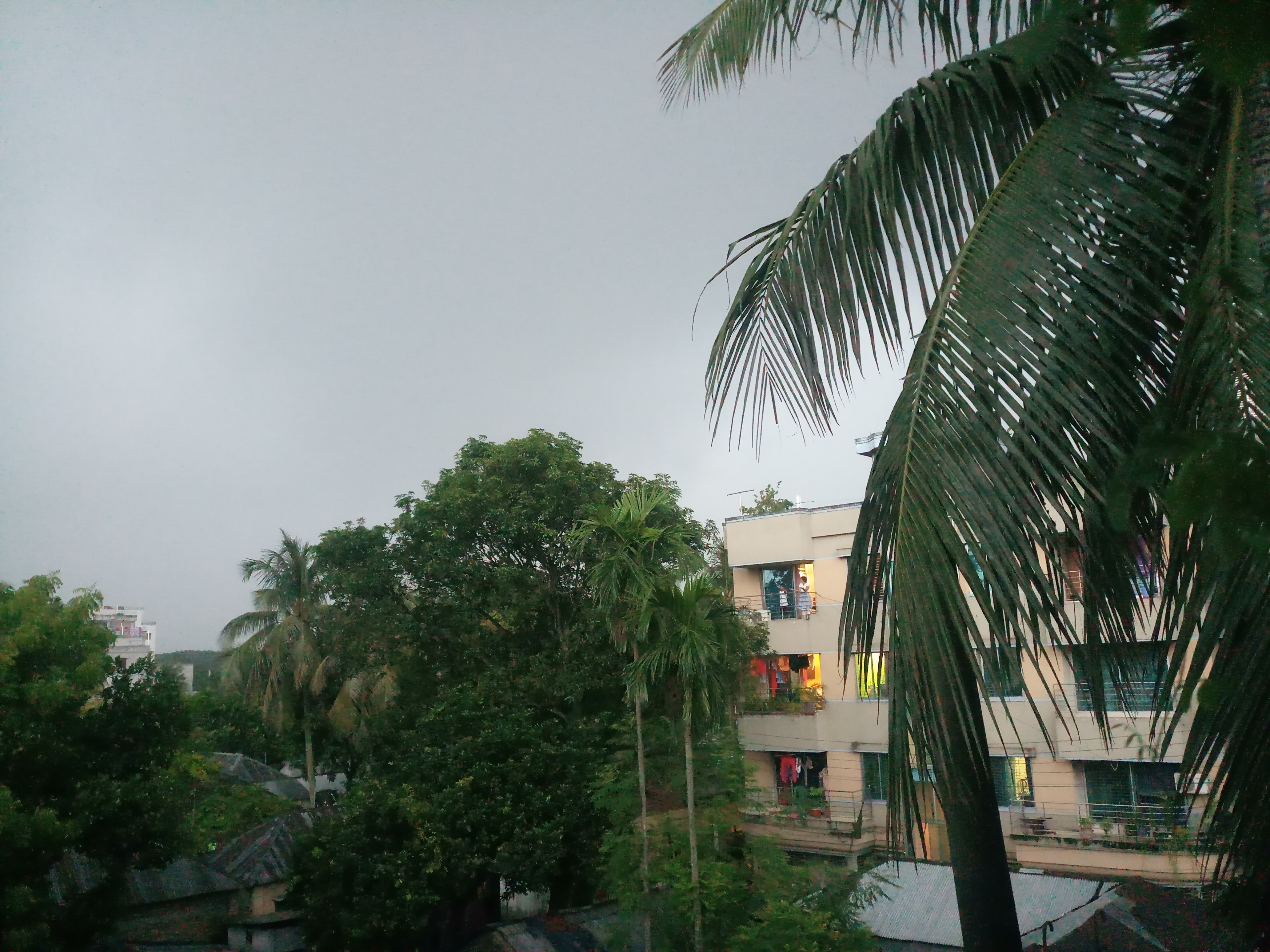 20190912_180902.jpg