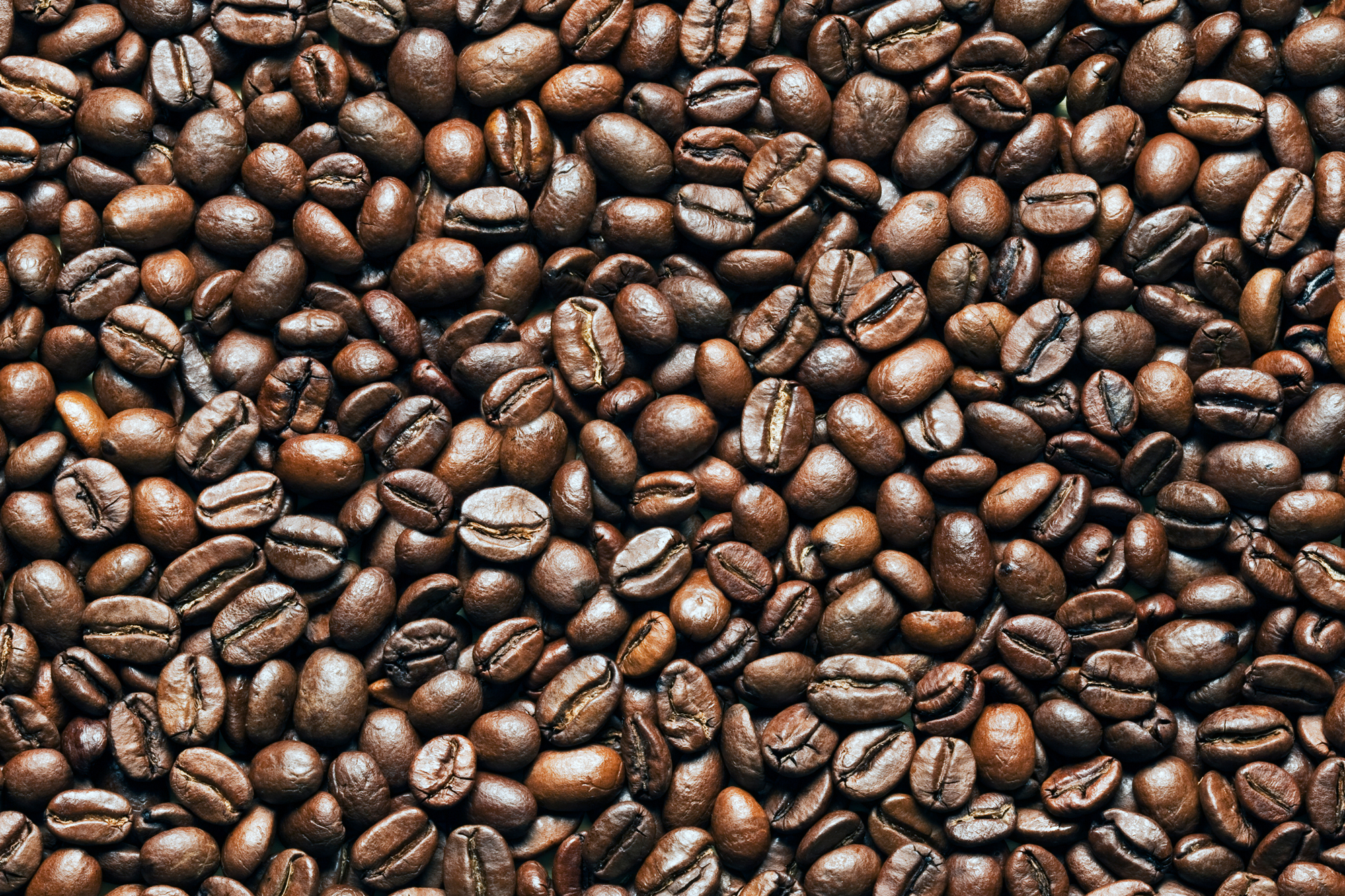 how-to-store-coffee-beans-FT-BLOG0121.jpg